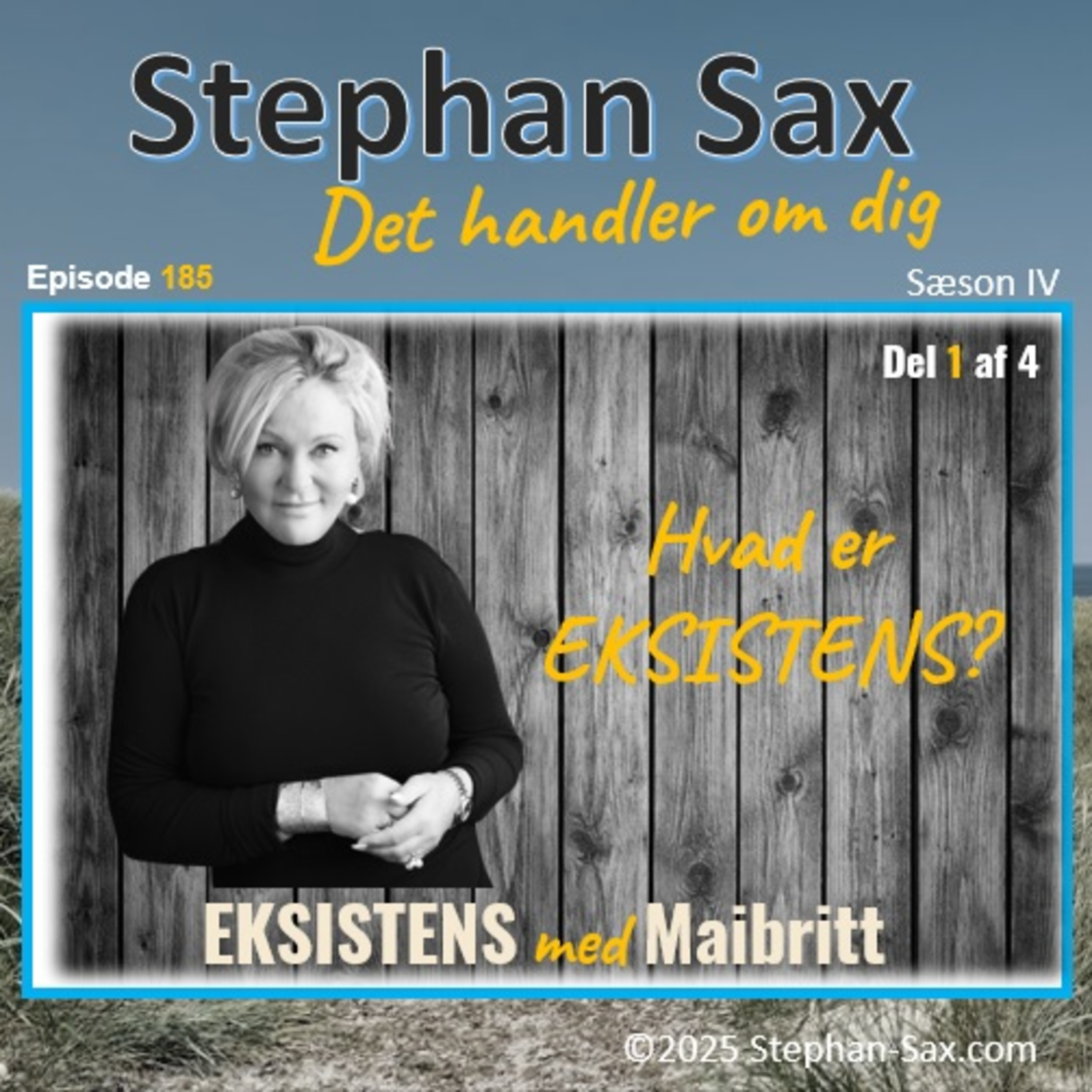 #185 EKSISTENS med Maibritt- Del1 Hvad er Eksistens?  episode artwork