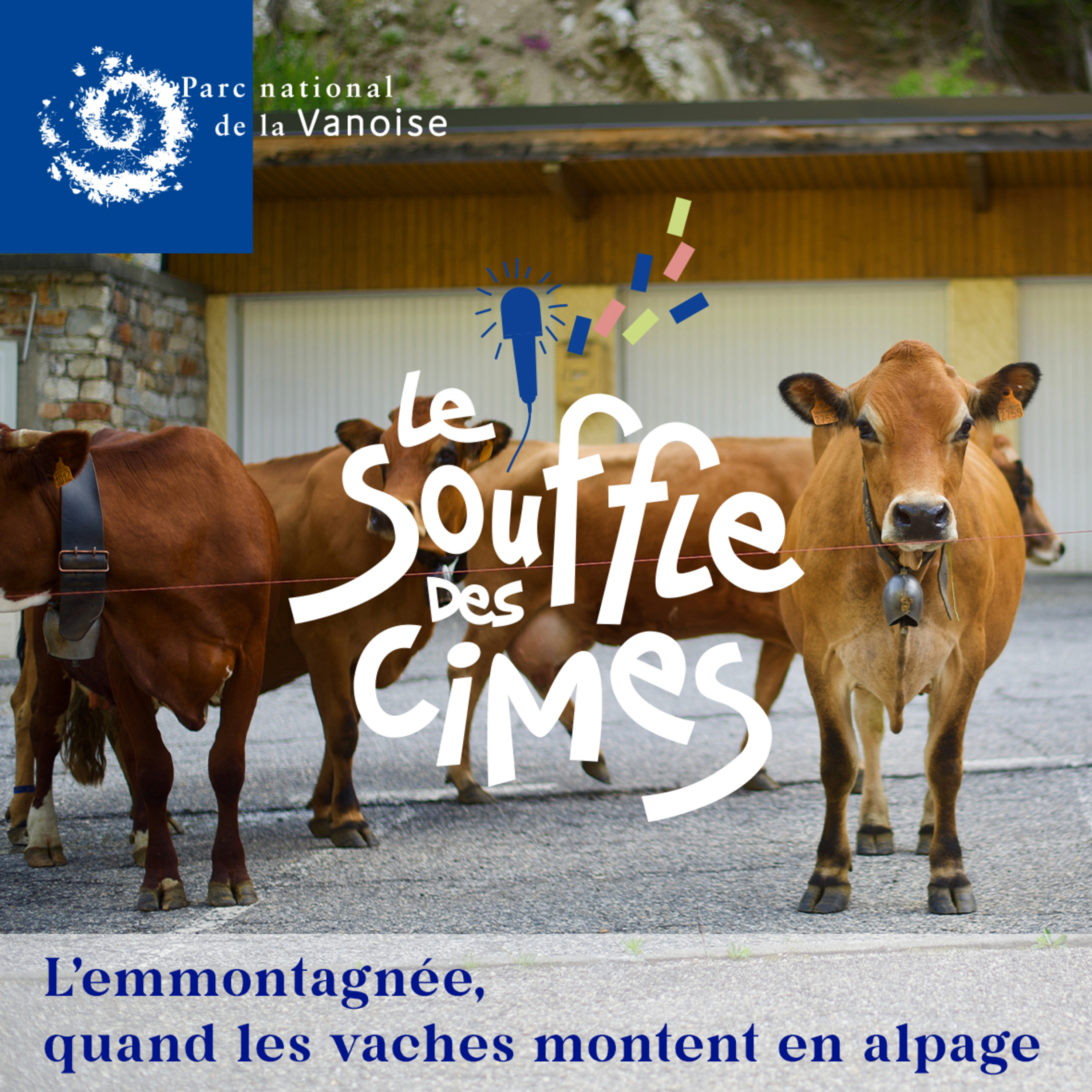 L'emmontagnée, quand les vaches montent en alpage episode artwork