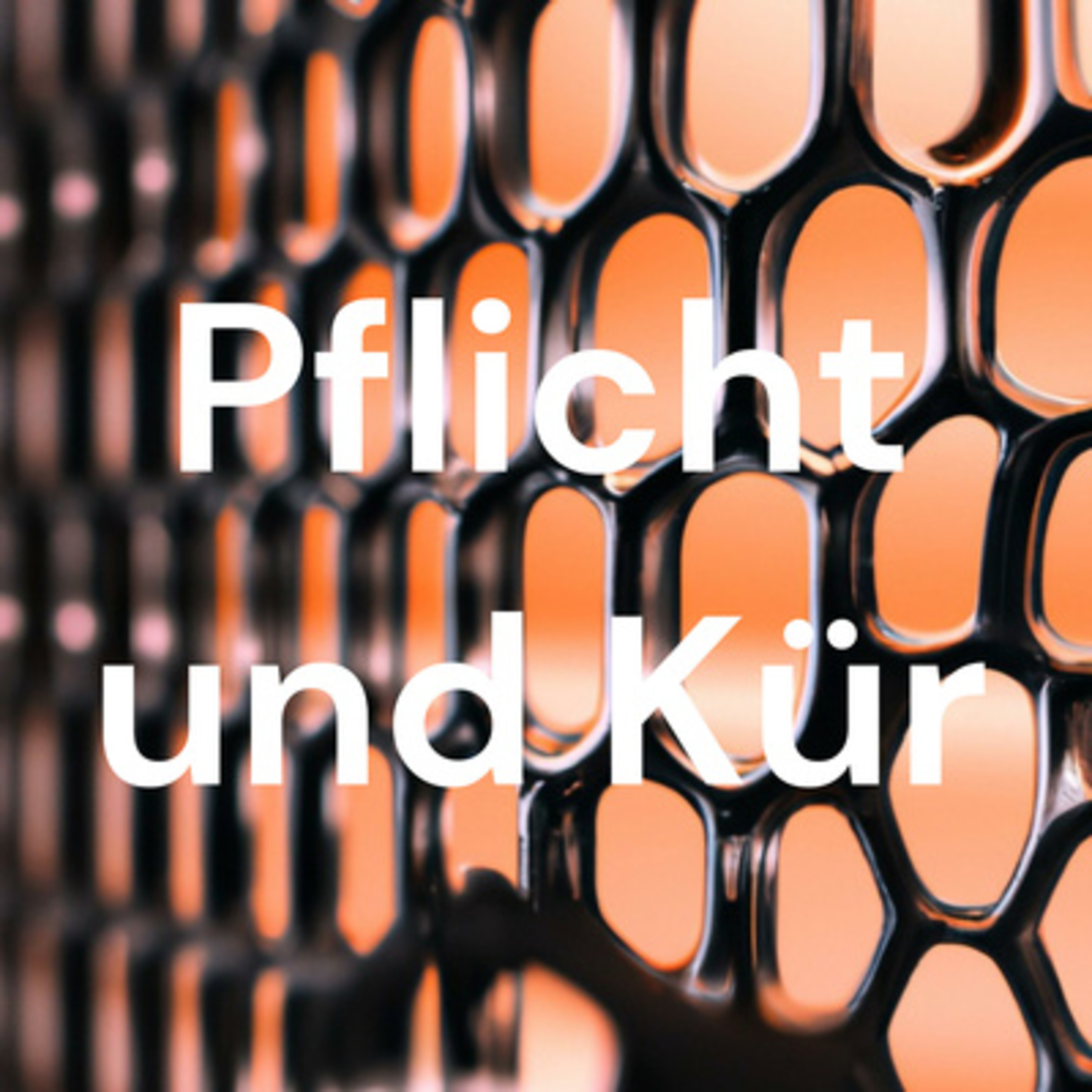 Pflicht und Kür - der Podcast