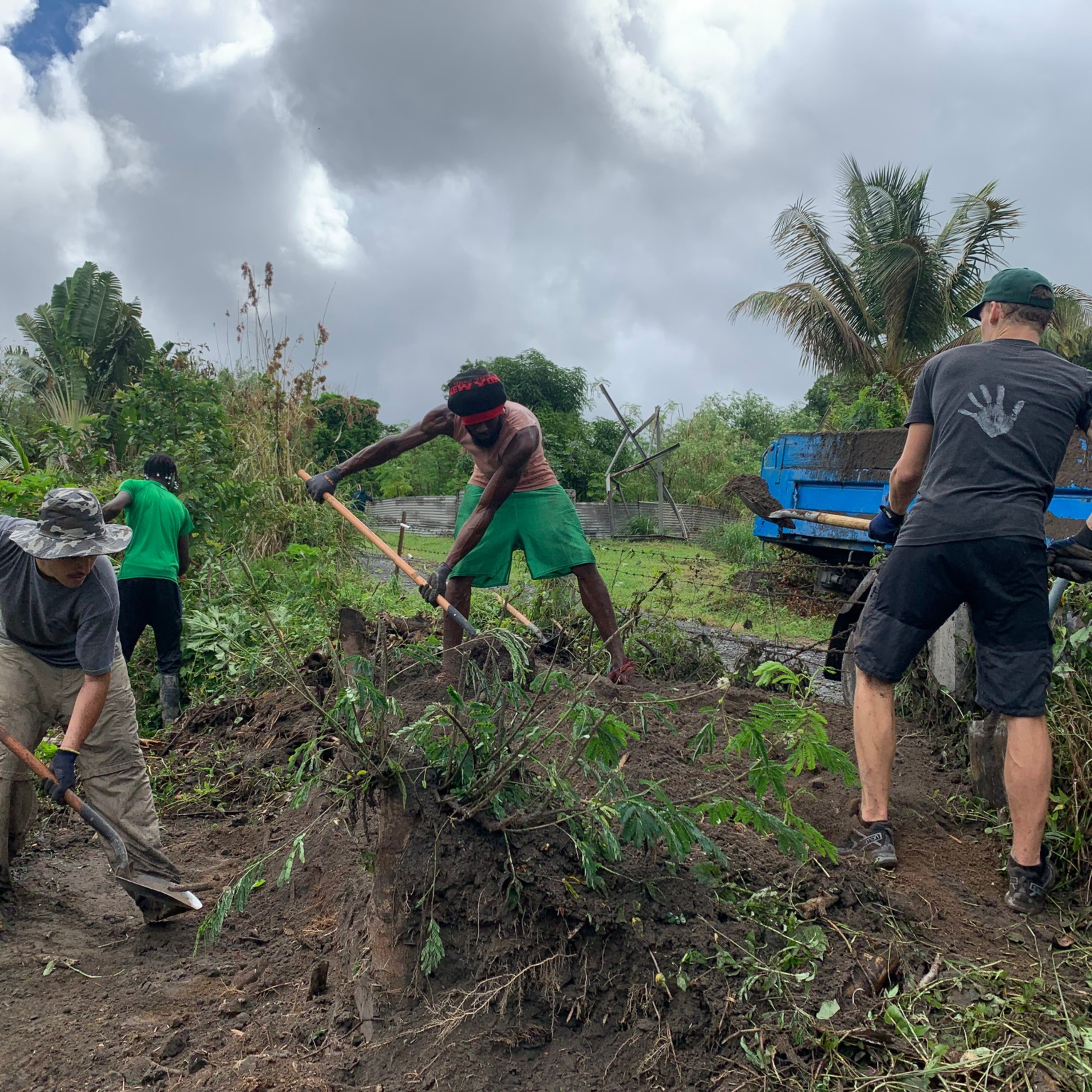 Richmond Vale Academy spearheads a community project to plant 100 gardens episode artwork
