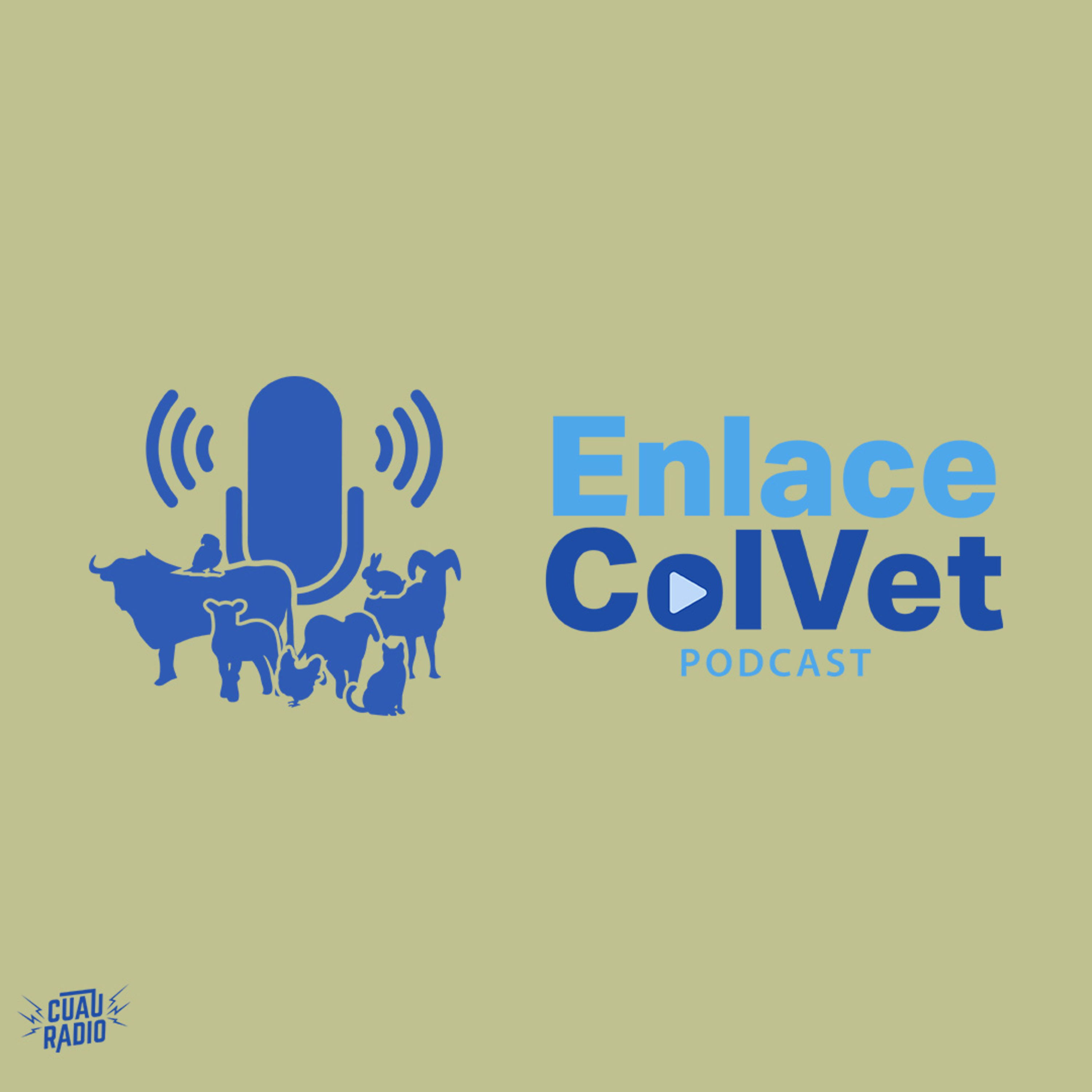 Enlace Colvet | 01 de julio  episode artwork