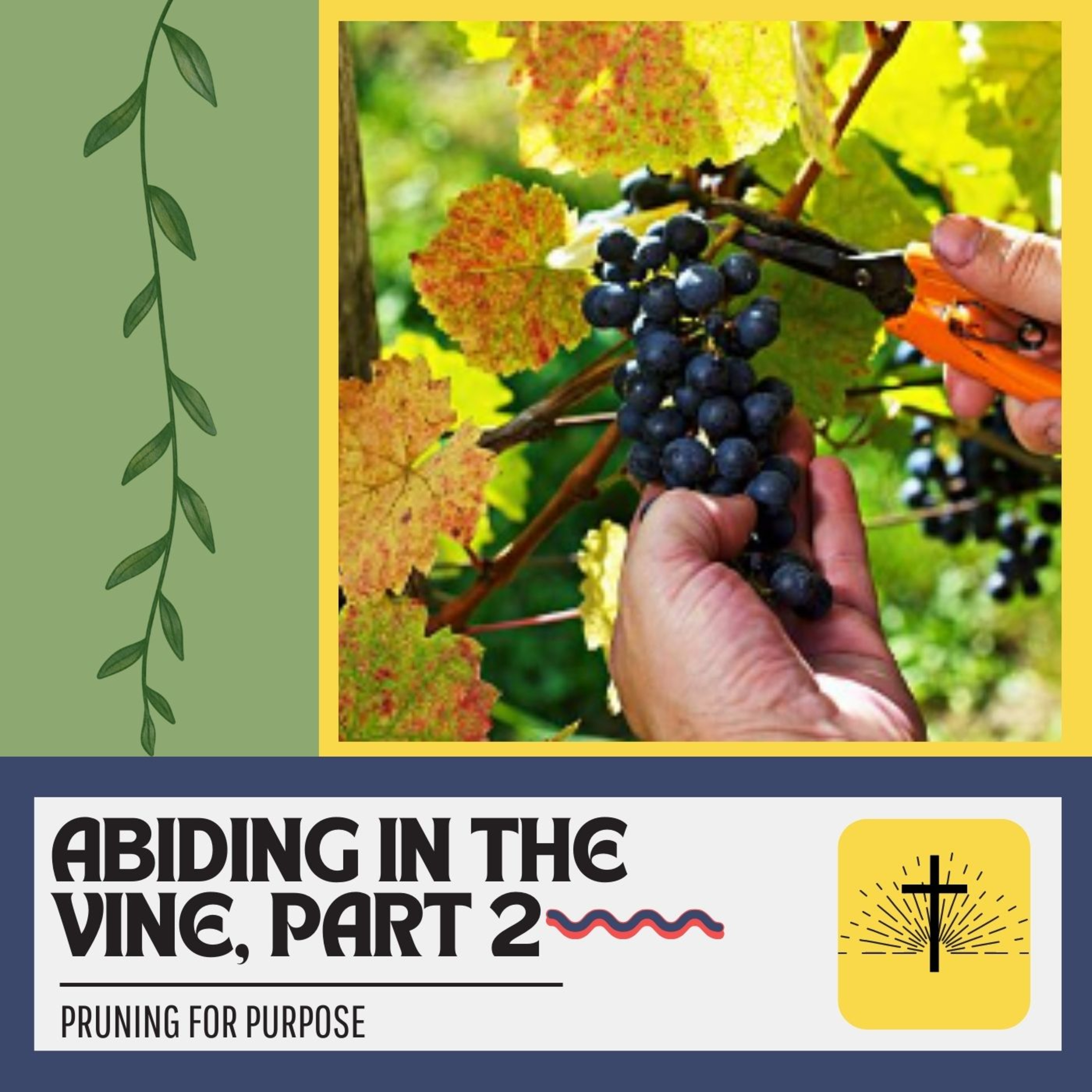 Abiding In The Vine Part 2: Pruning For Purpose episode artwork