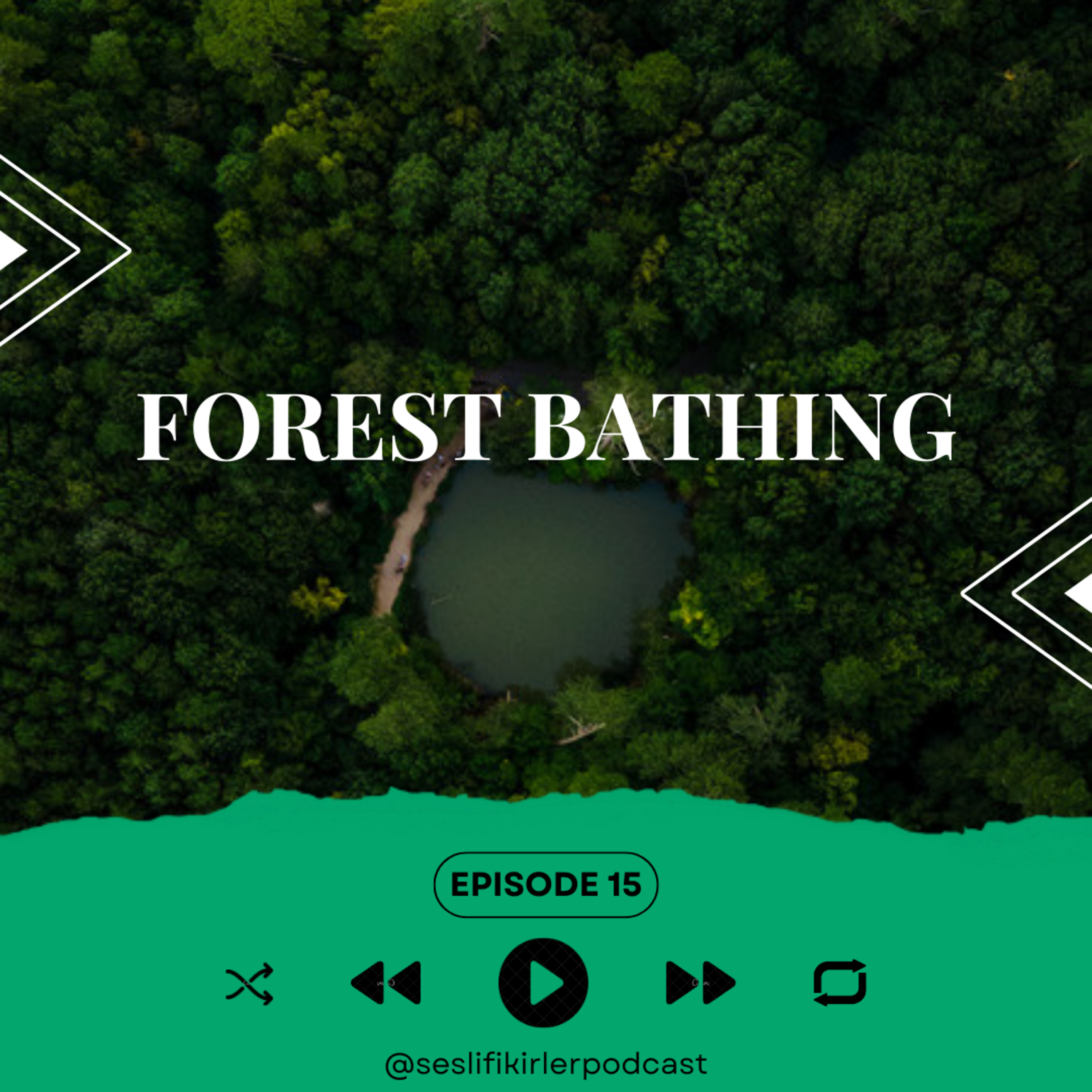 Sesli Fikirler Podcast