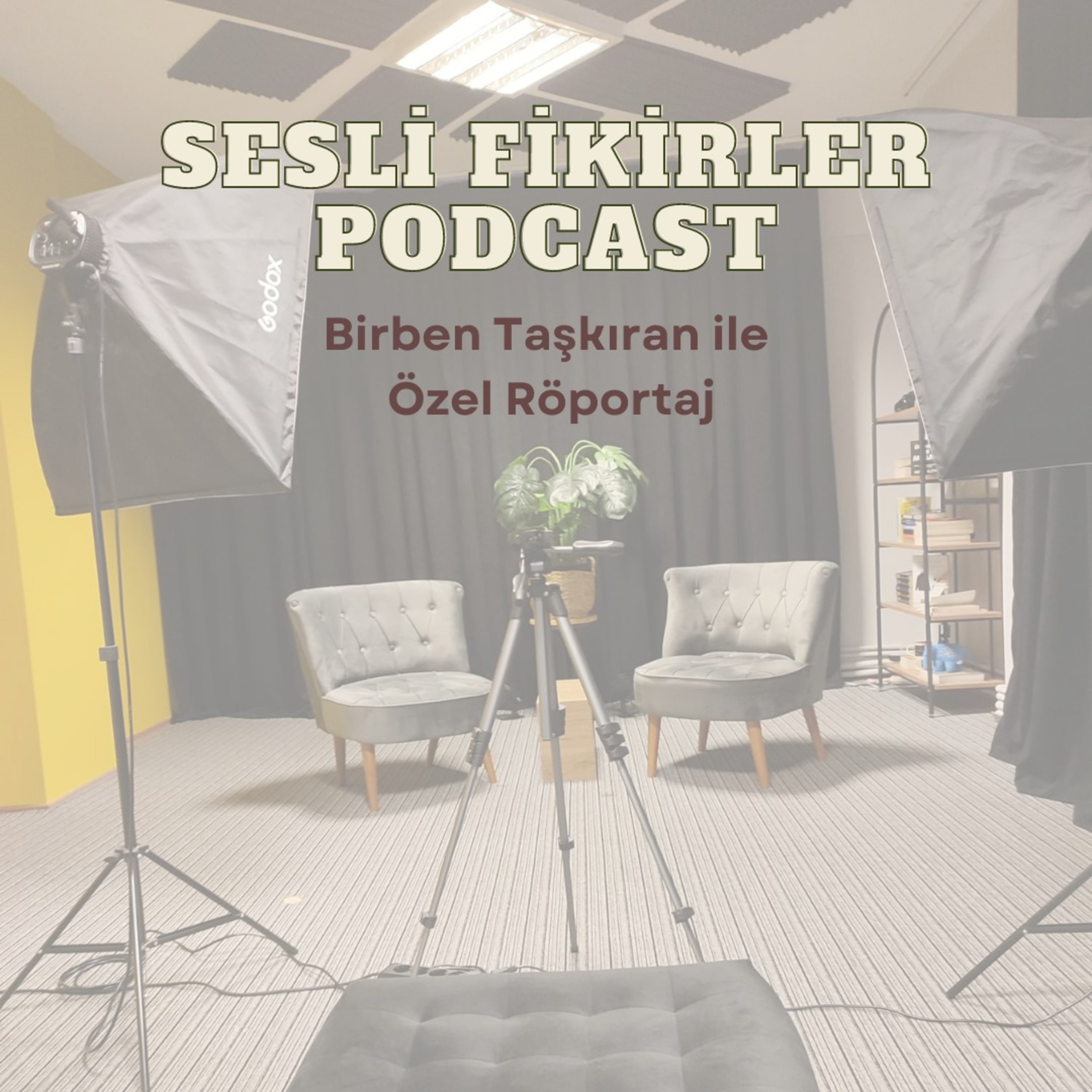 Sesli Fikirler Podcast