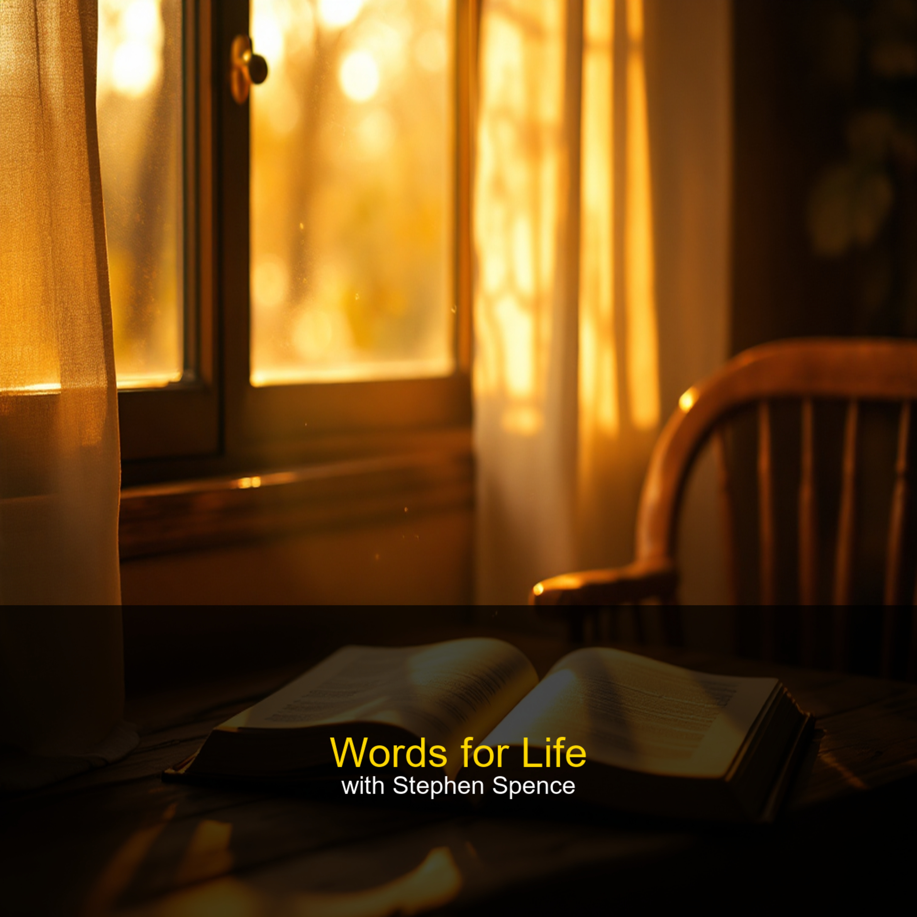 Words for Life: The Self You Stopped Defending episode artwork