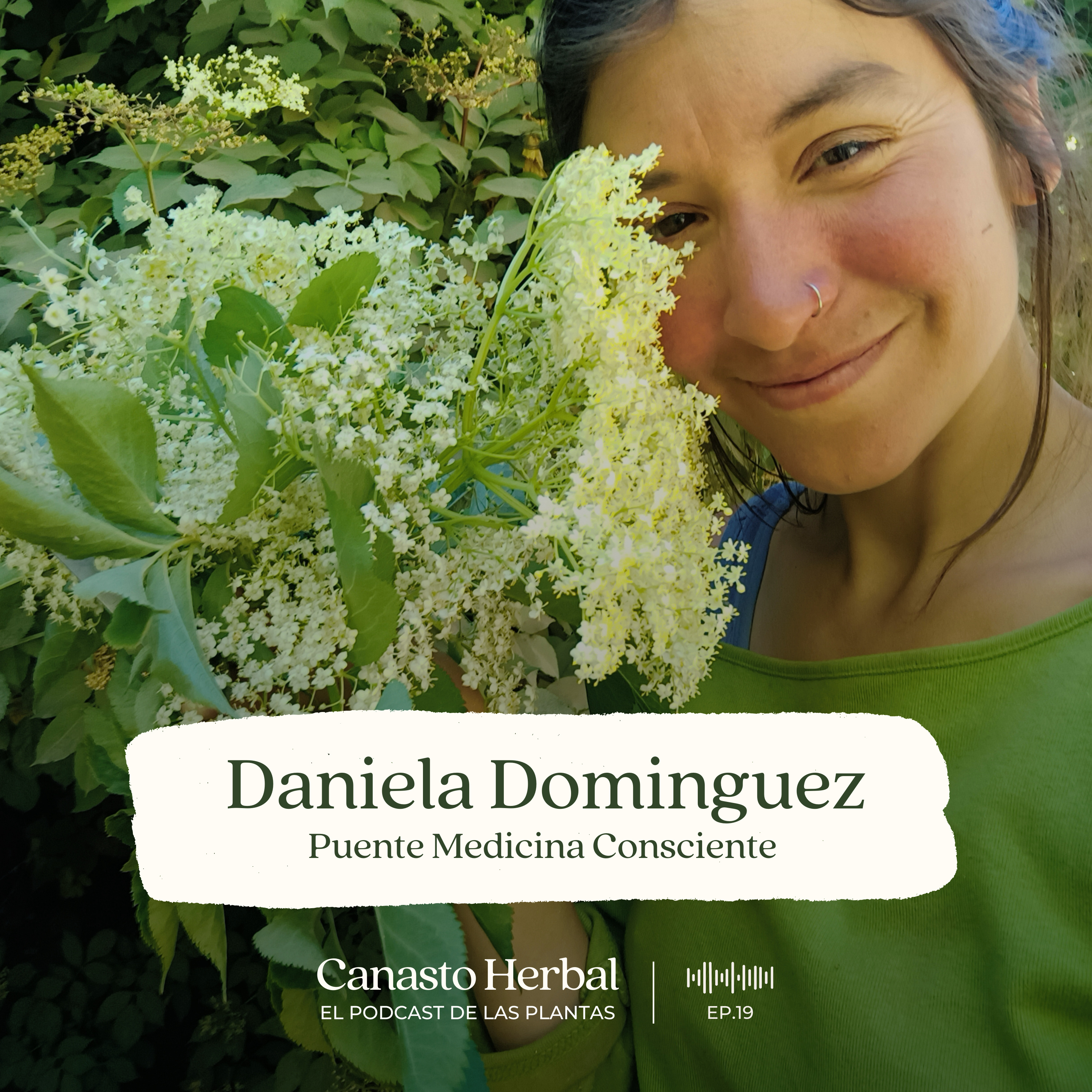 Canasto Herbal