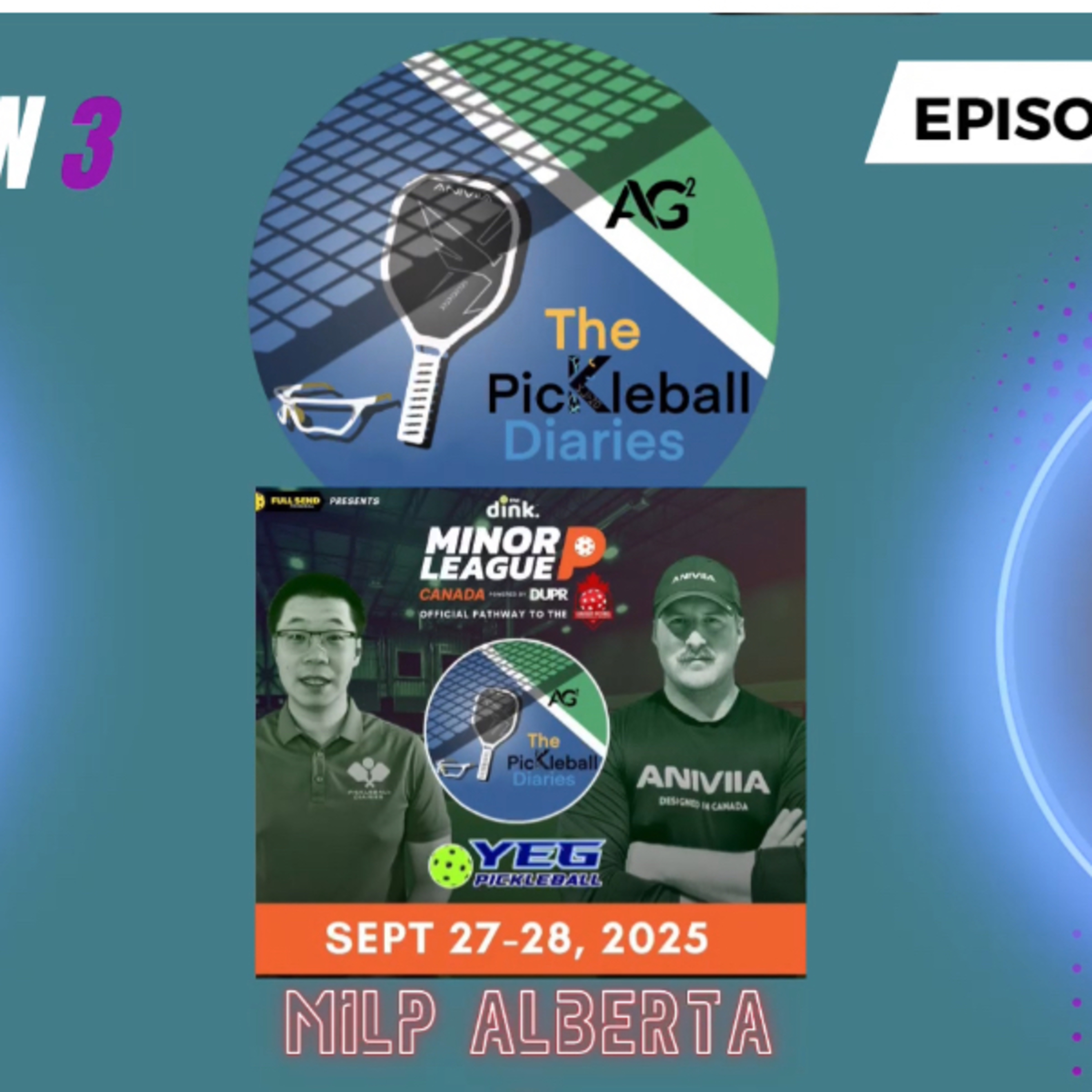 The Pickleball Diaries