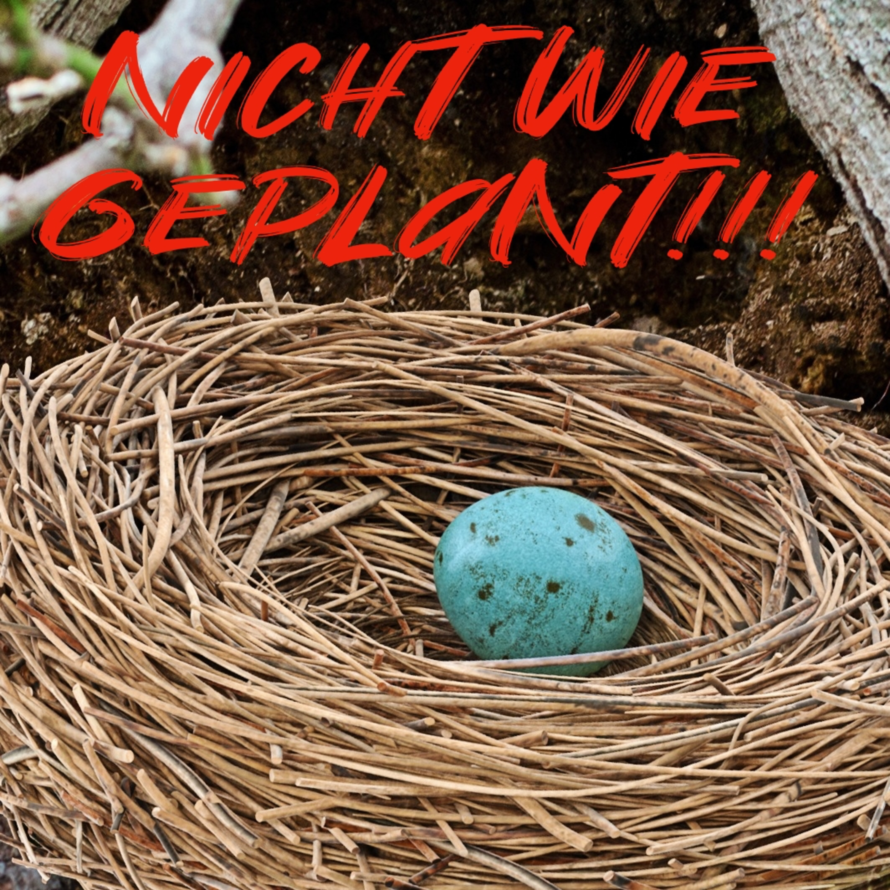 FRAUENKRÄFTE - DER HEBAMMENPODCAST
