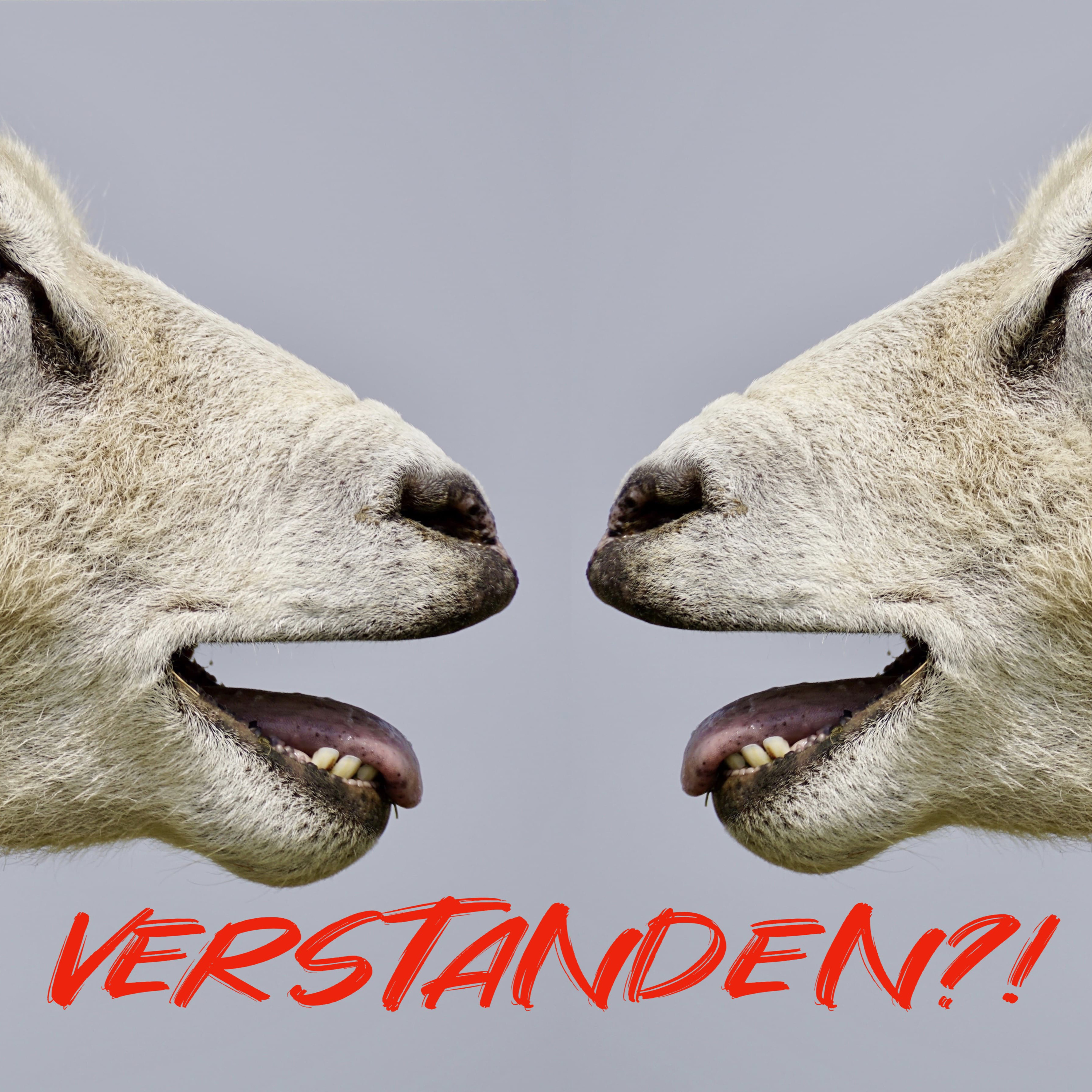 FRAUENKRÄFTE - DER HEBAMMENPODCAST