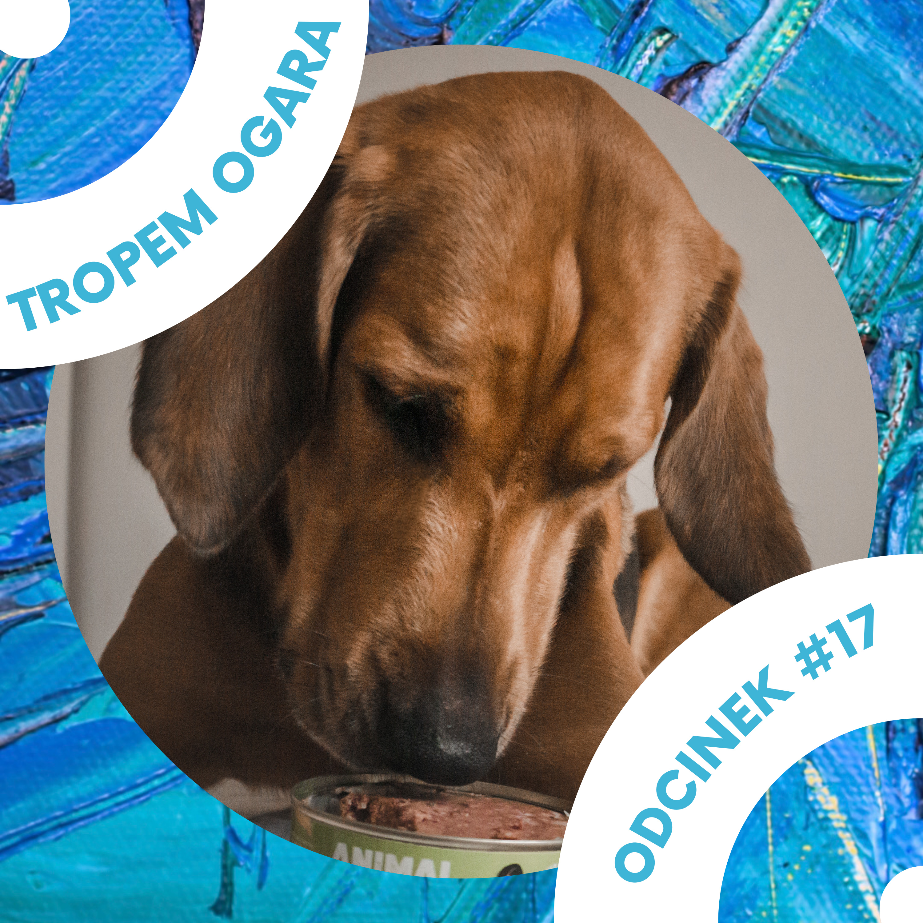 Tropem Ogara