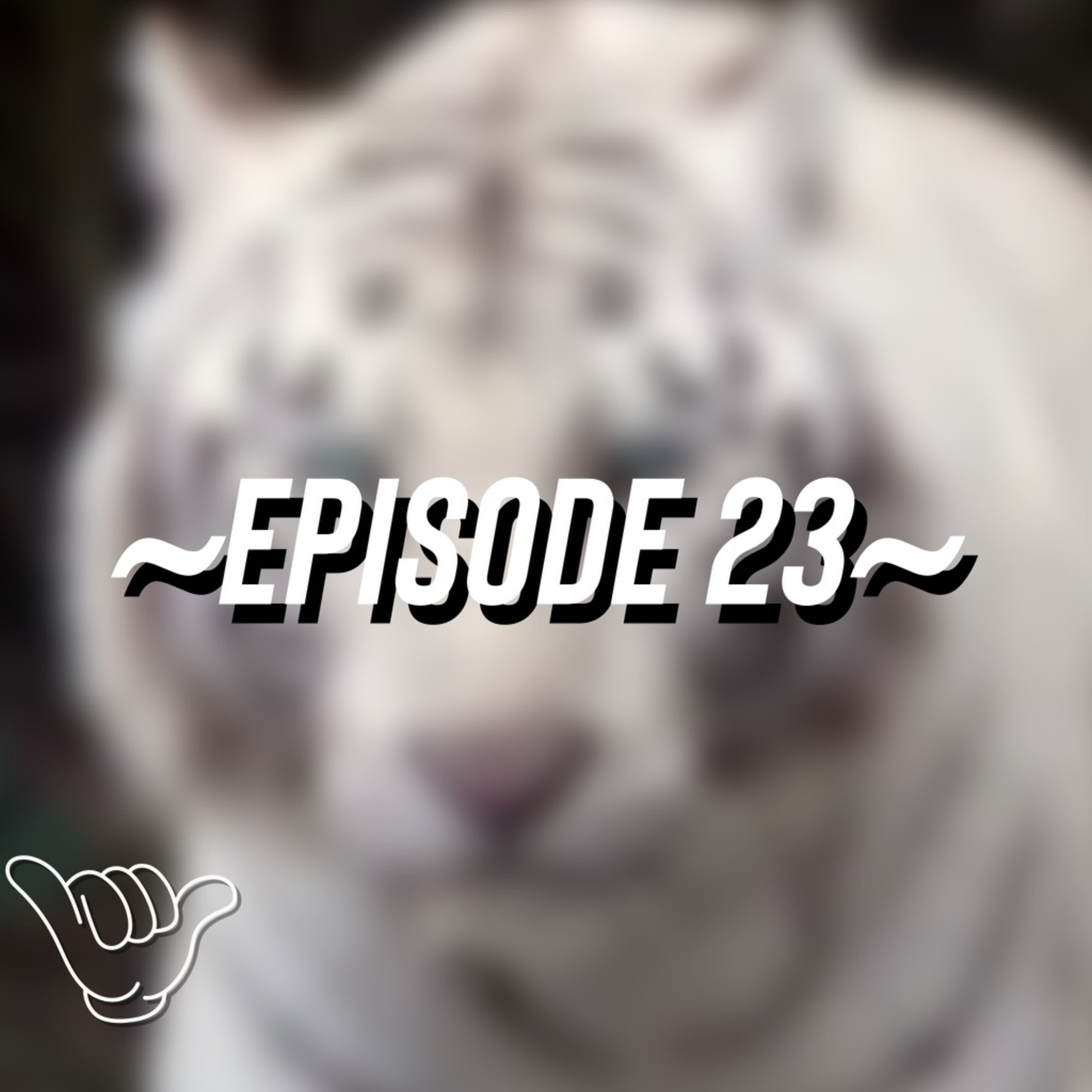 Episode 23: White Tiger episode artwork