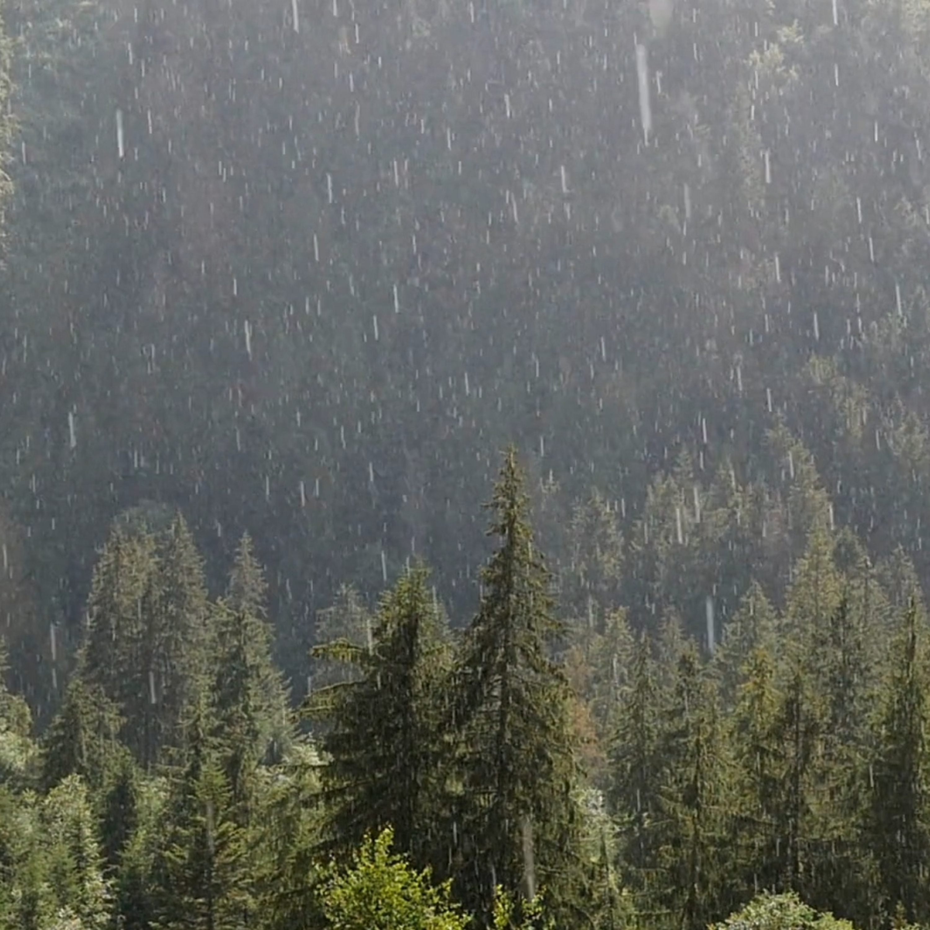 Soothing Rain episode artwork