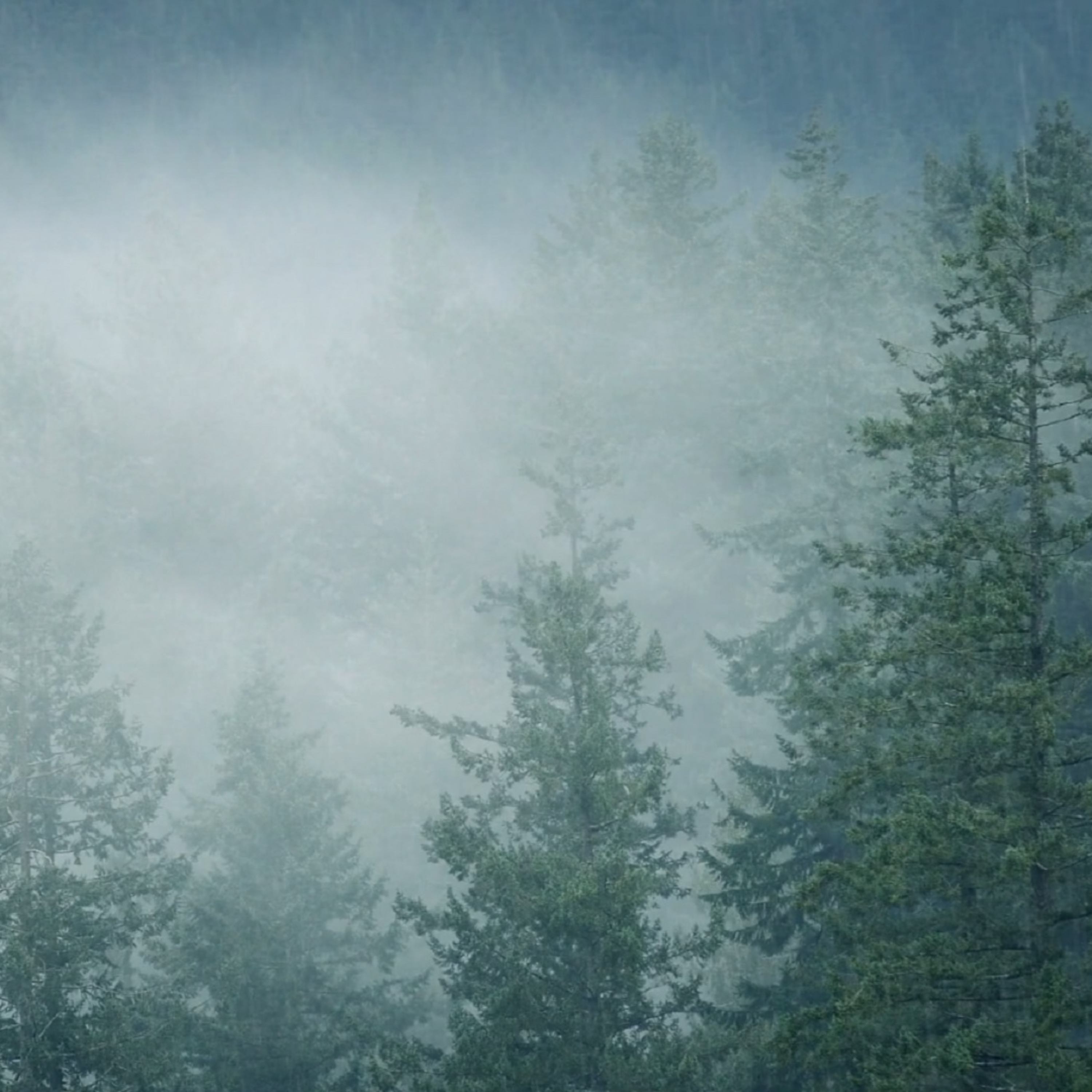 Calm Rain episode artwork