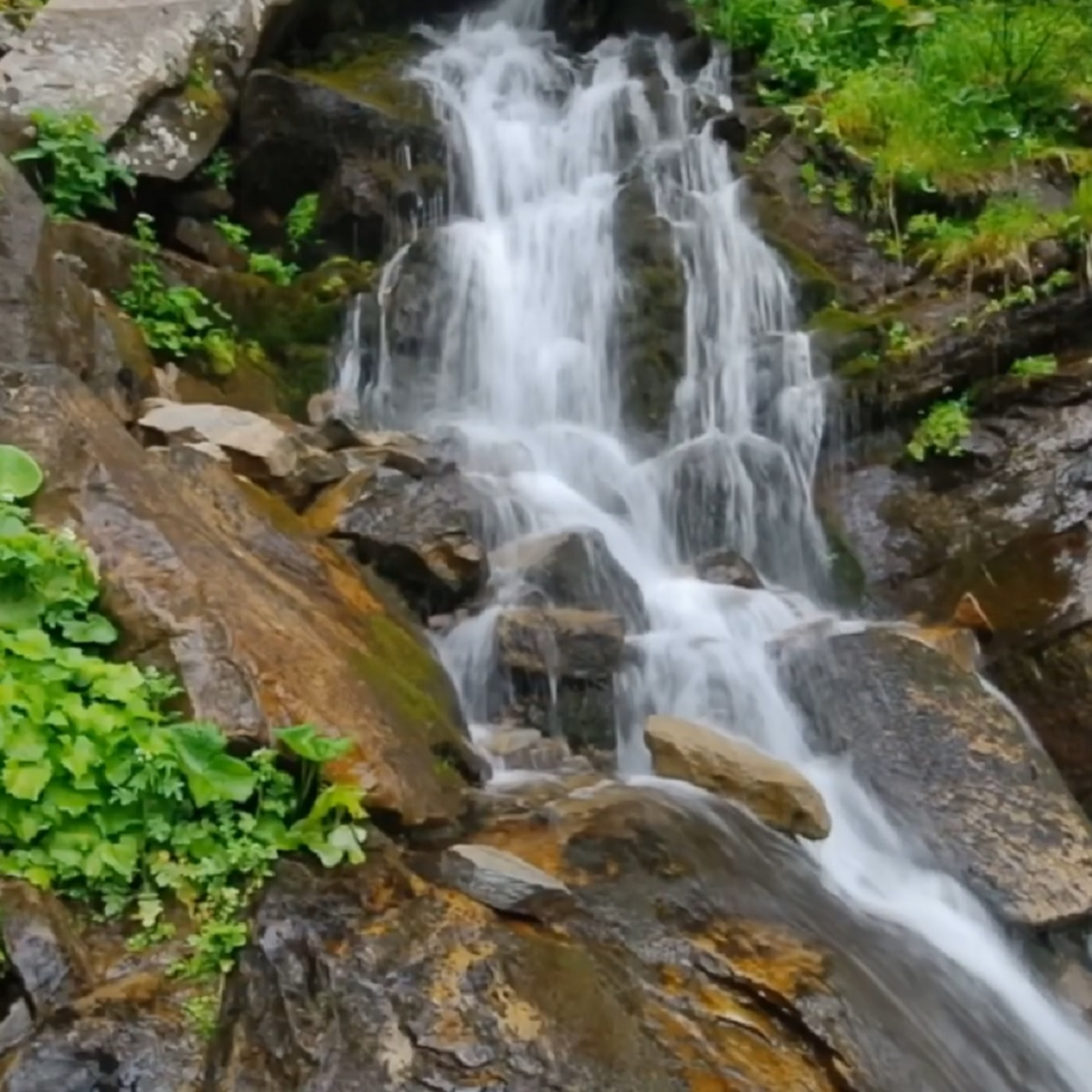 Spring Waterfall episode artwork