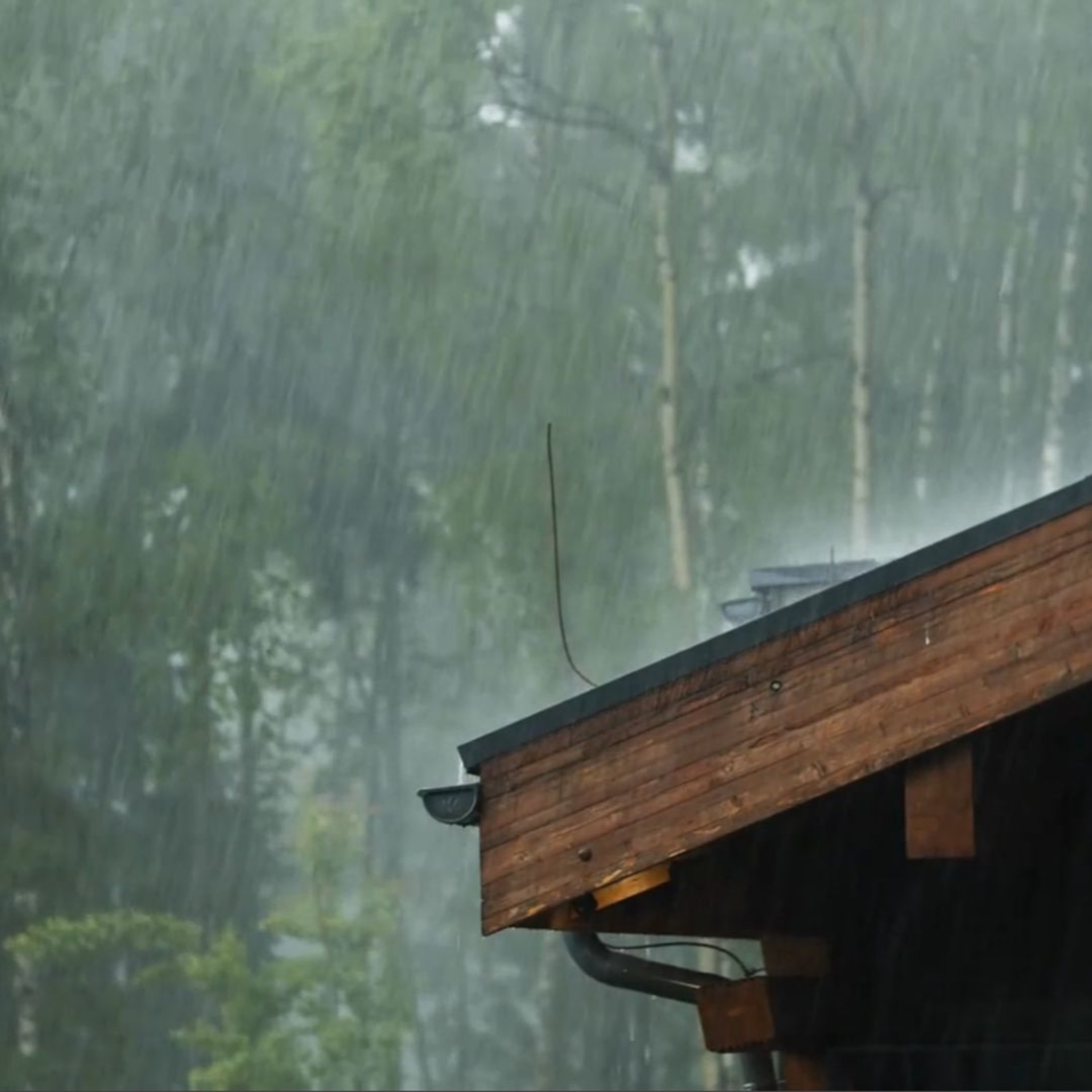 Rainy Rooftop For Sleeping episode artwork