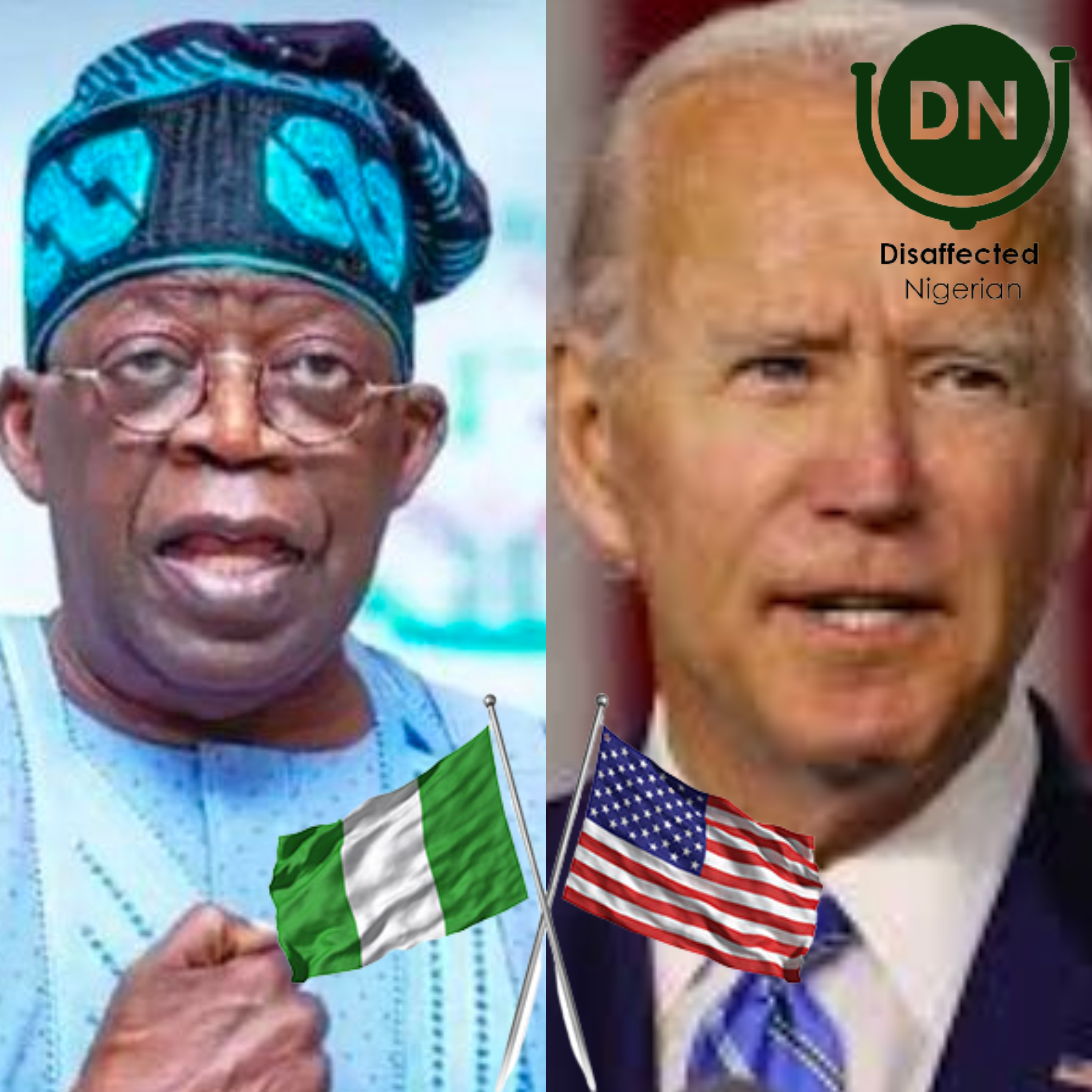 Disaffected Nigerian