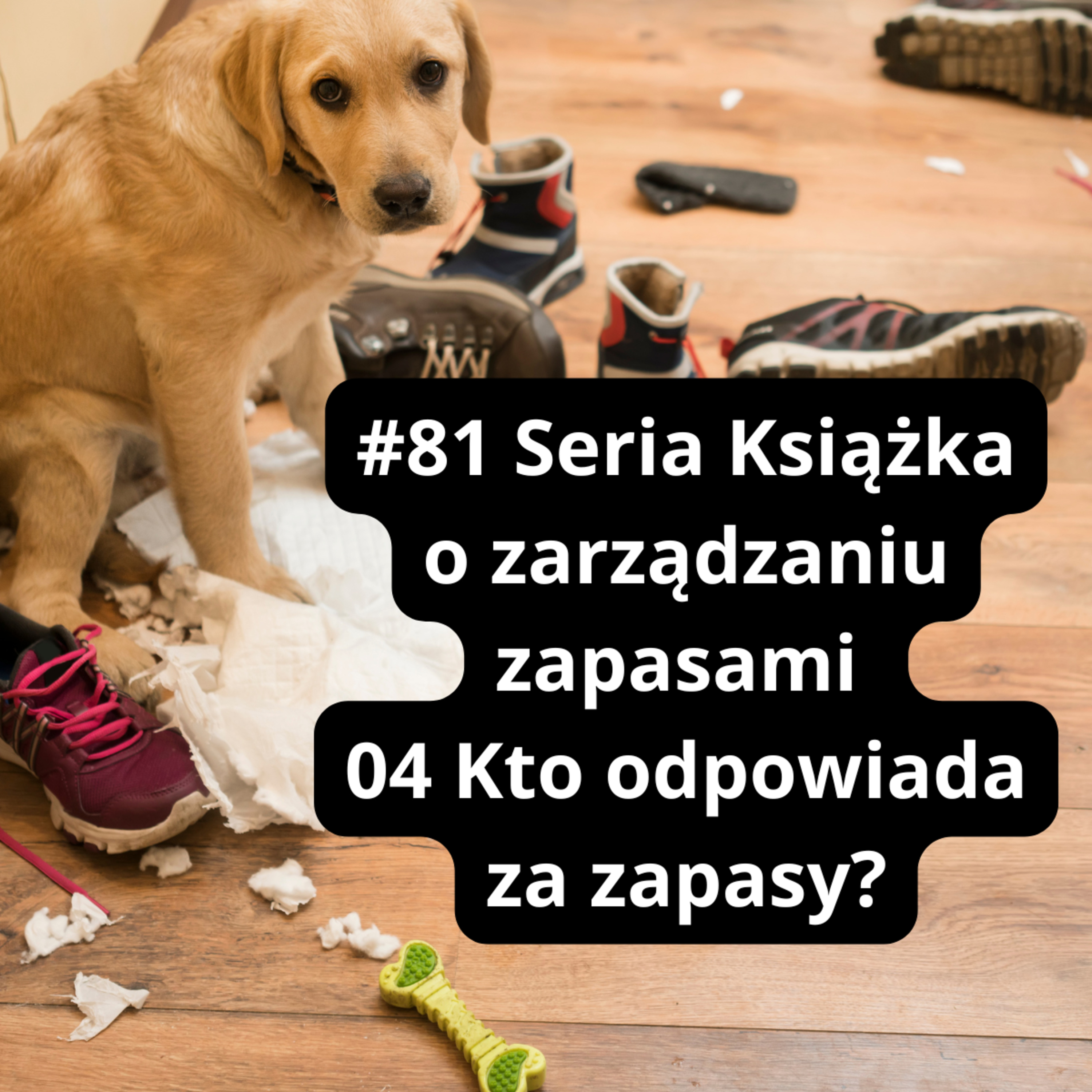 PBP - Paweł Birecki Podcast