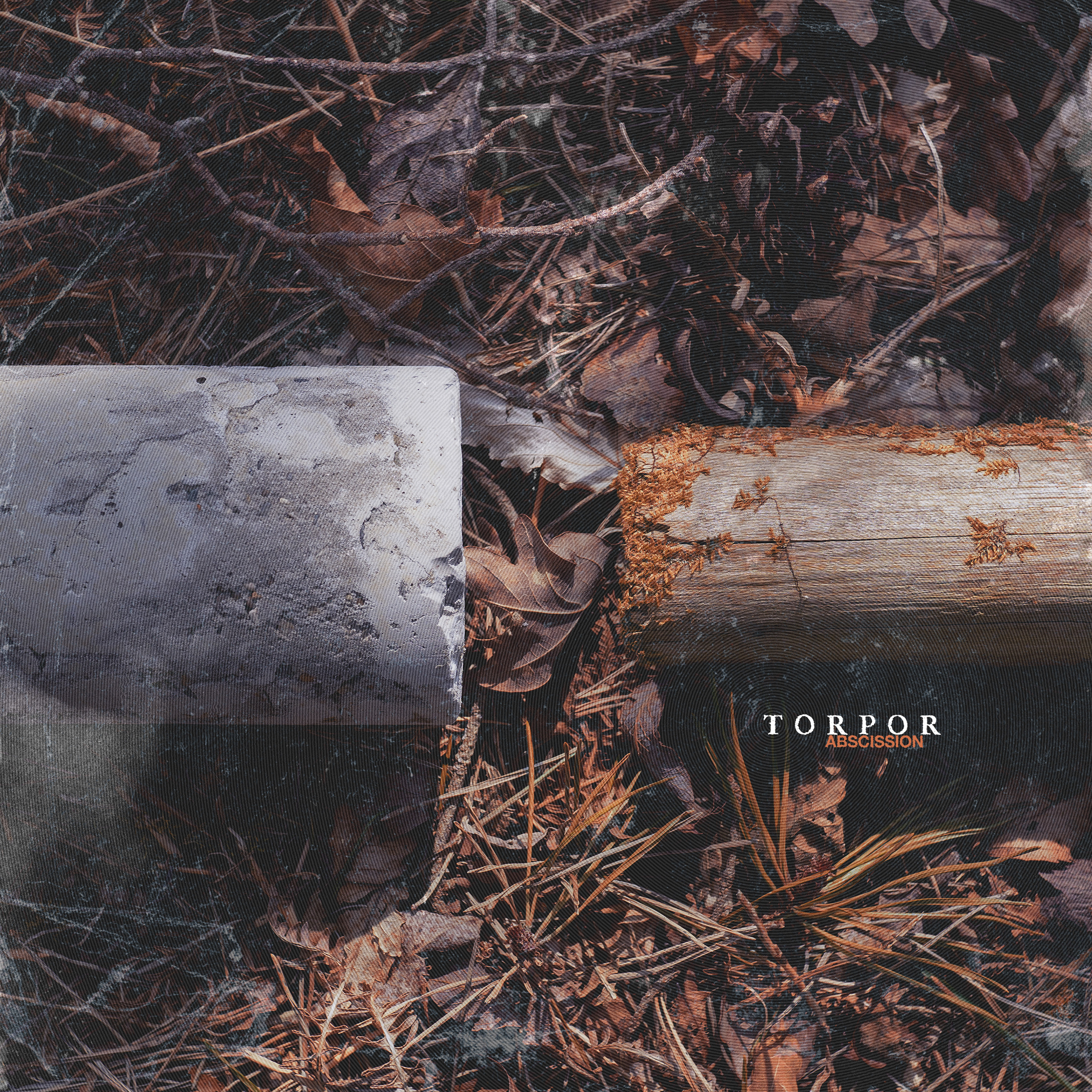 ALBUM REVIEW: Torpor – ABSCISSION episode artwork