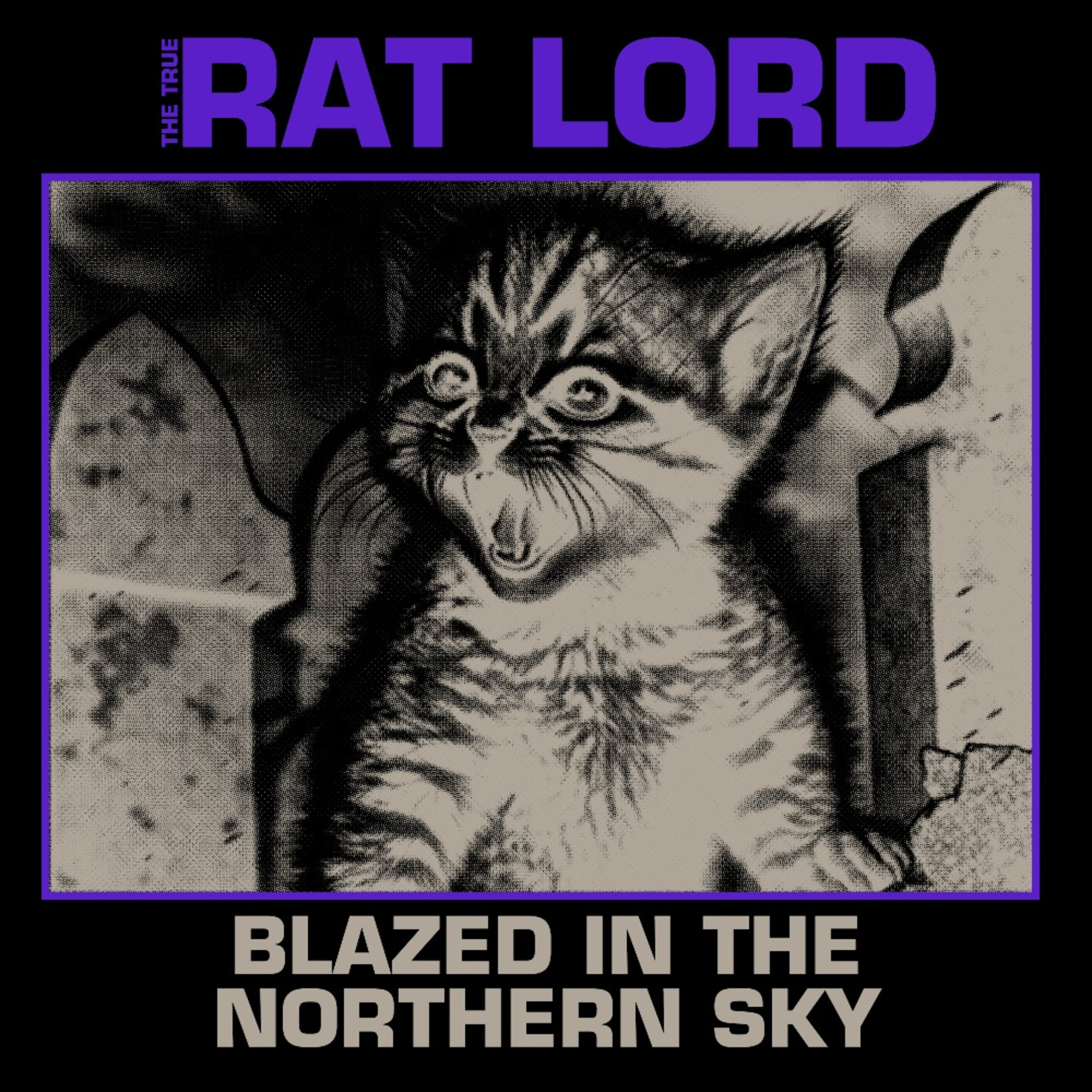 ALBUM REVIEW: Rat Lord - Blazed In The Northern Sky  episode artwork