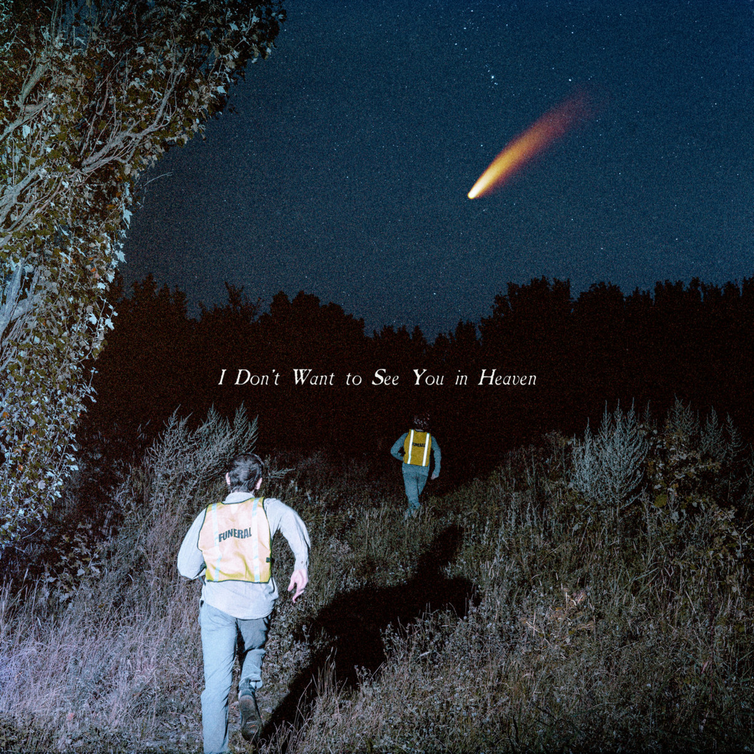 ALBUM REVIEW: The Callous Daoboys - I Don't Want to See You in Heaven episode artwork