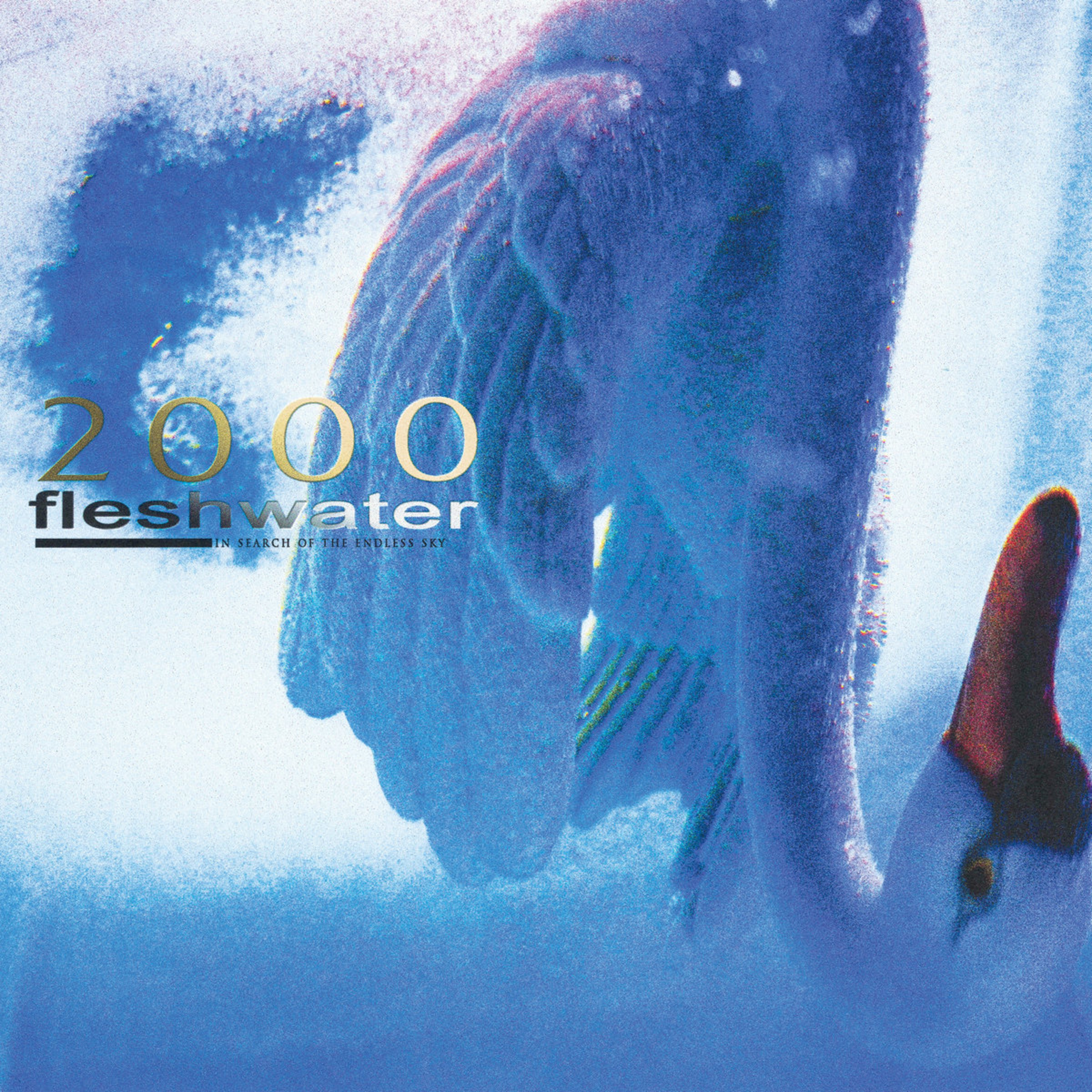 ALBUM REVIEW: Fleshwater - 2000: In Search of the Endless Sky episode artwork