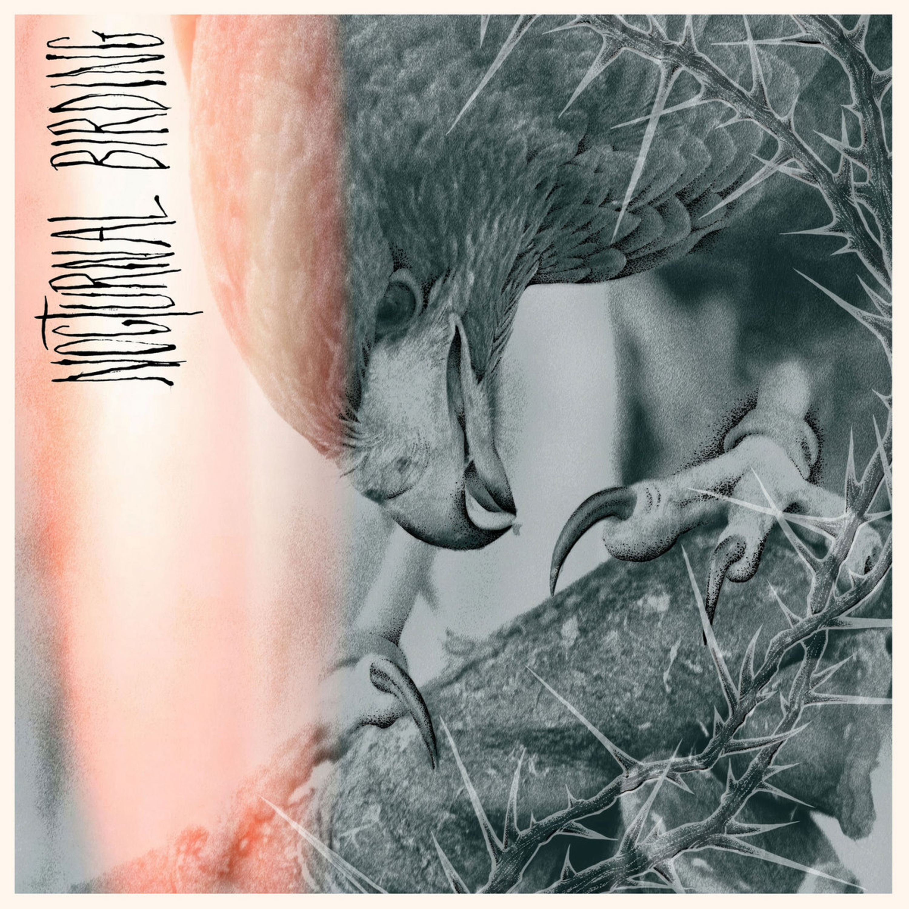 ALBUM REVIEW: Author & Punisher - Nocturnal Birding episode artwork