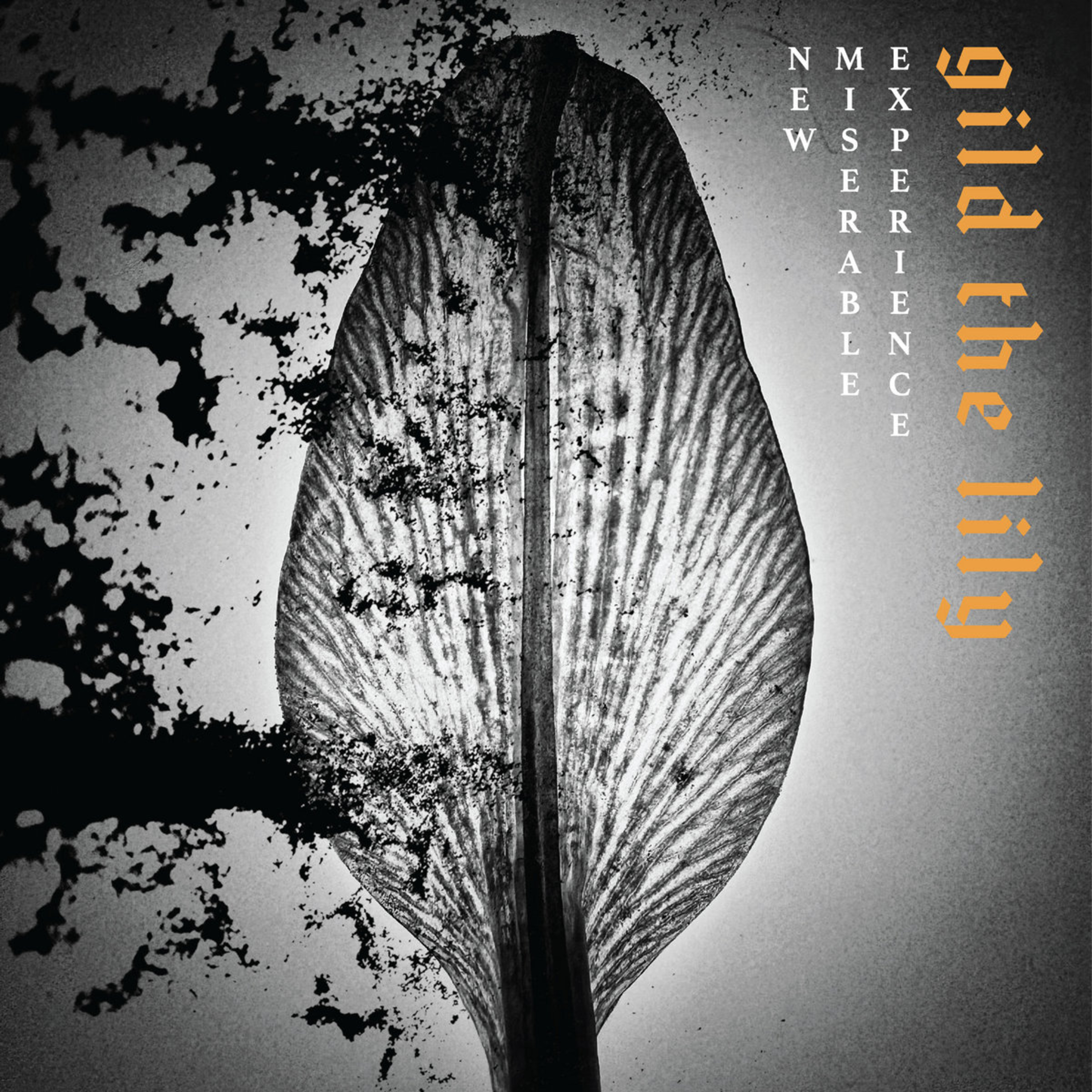 ALBUM REVIEW: NEW MISERABLE EXPERIENCE - Gild The Lily  episode artwork