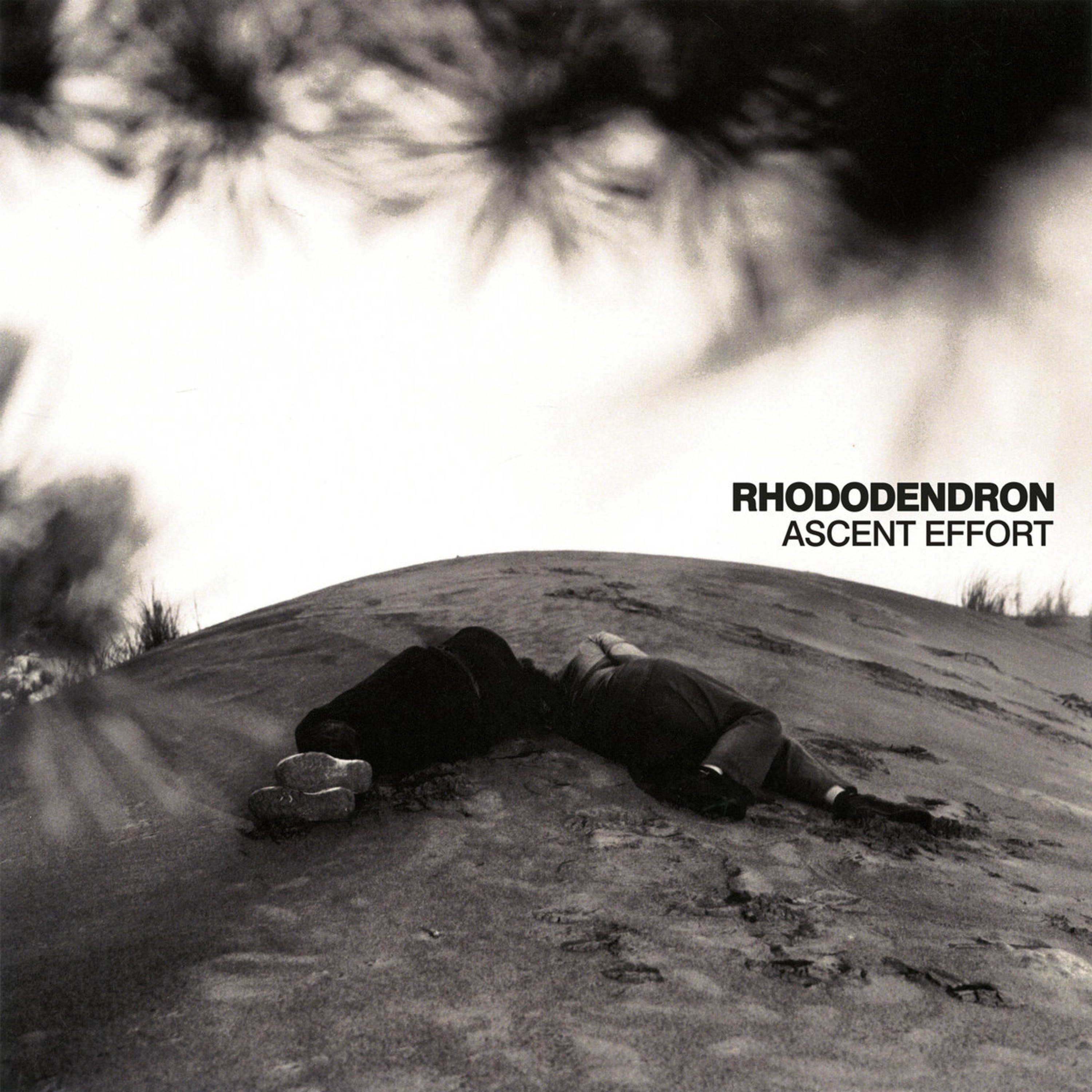 ALBUM REVIEW: Rhododendron - Ascent Effort  episode artwork
