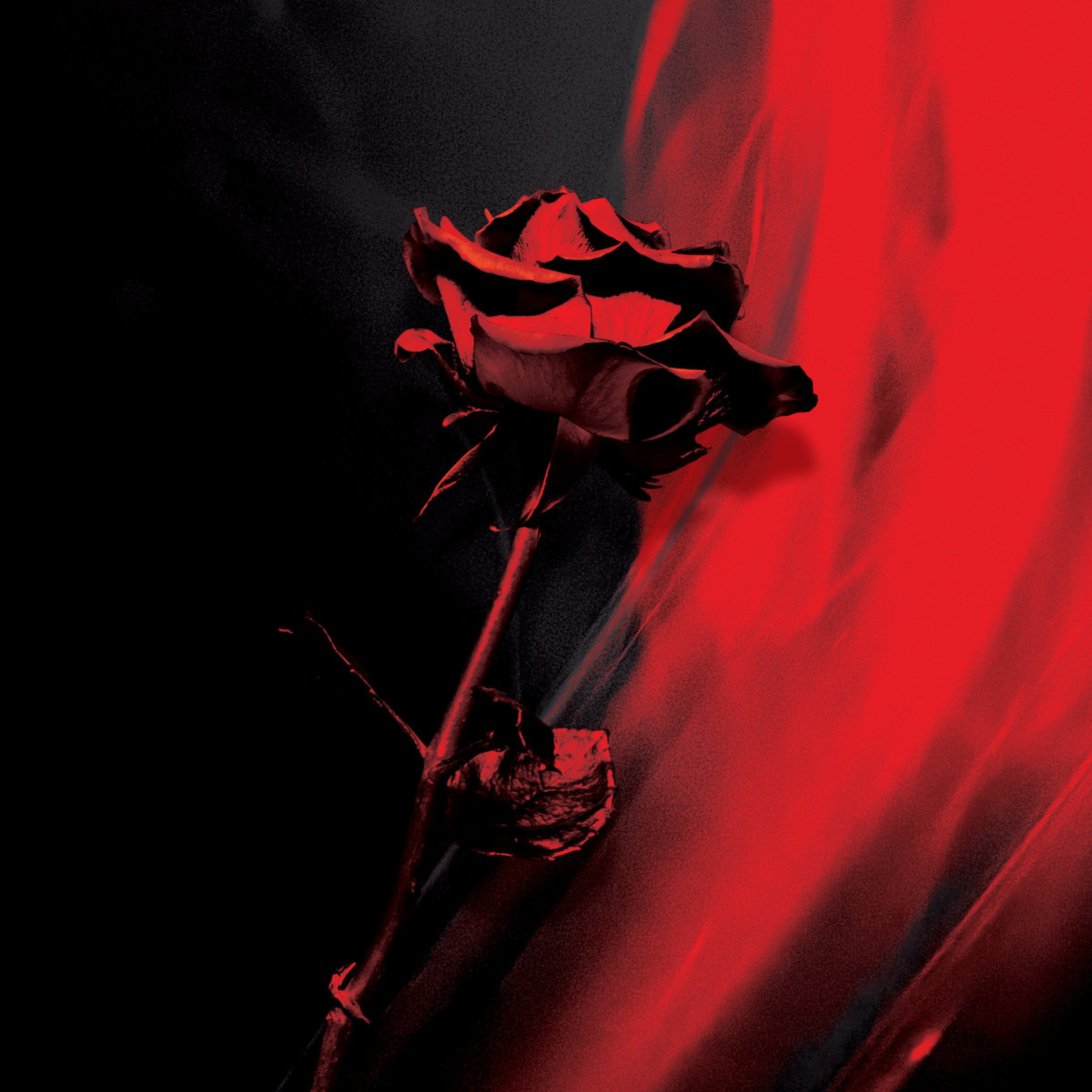 ALBUM REVIEW: FOREIGN FILM - A Love Letter  episode artwork