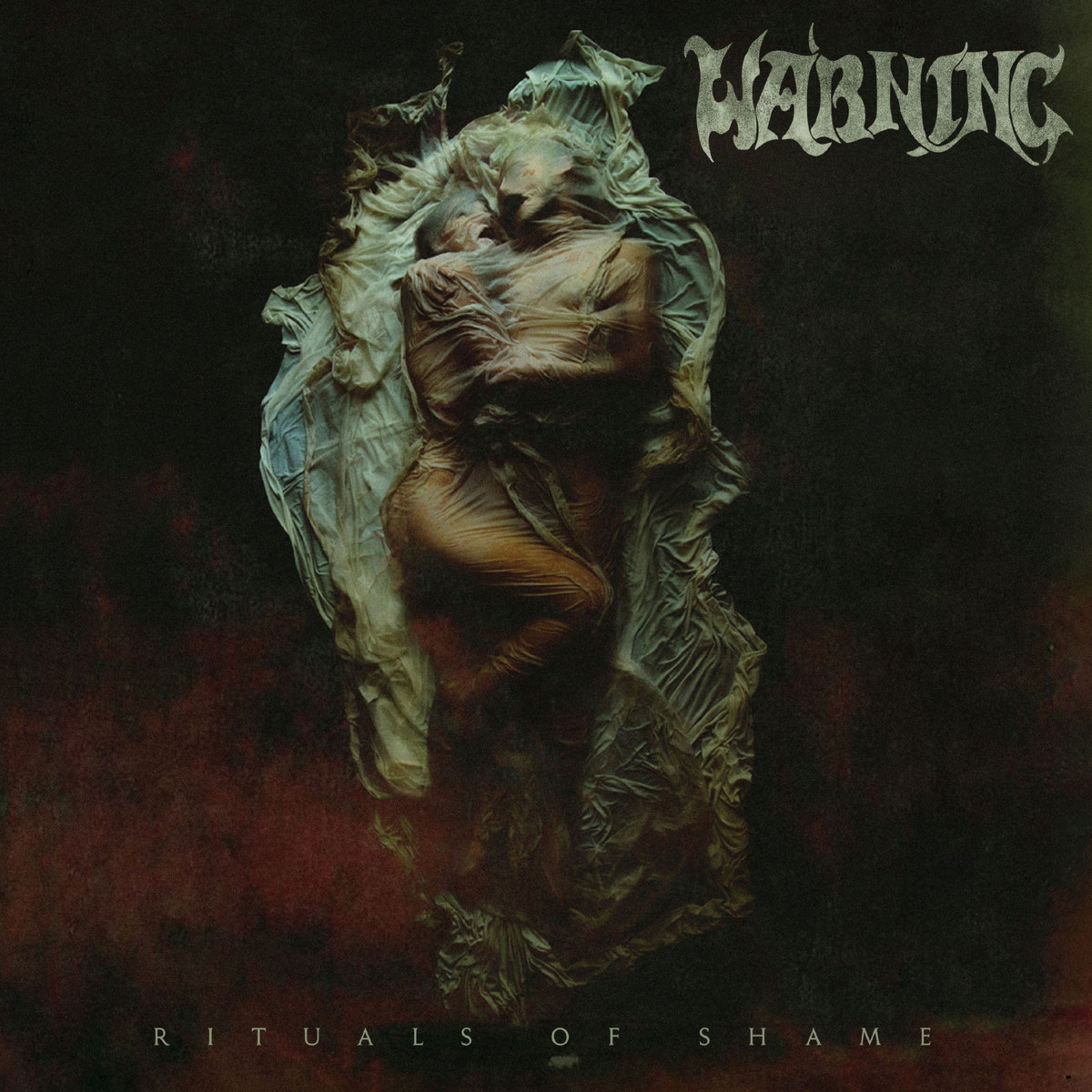 ALBUM REVIEW: Warning - Rituals Of Shame  episode artwork