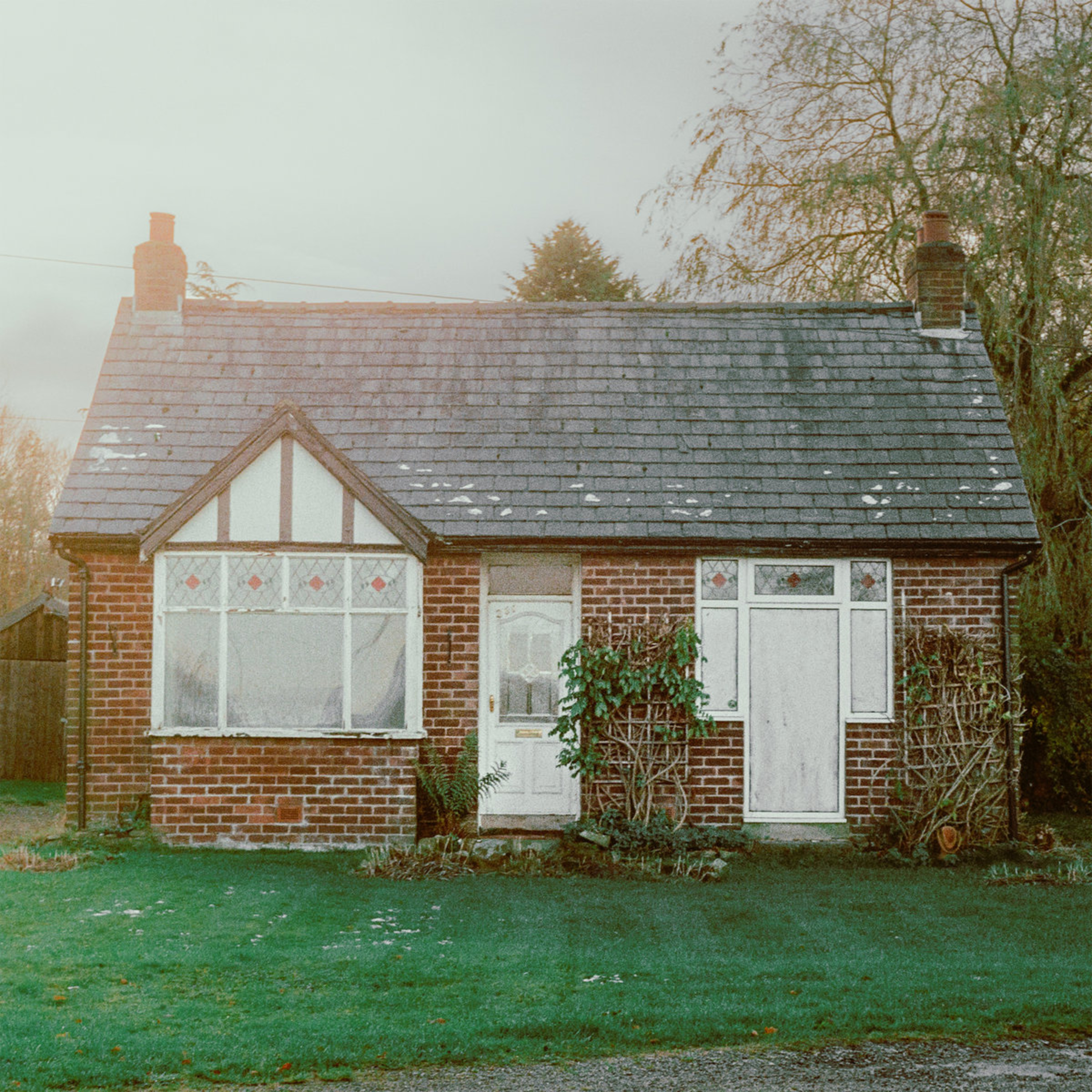 ALBUM REVIEW: EXPLORING BIRDSONG - Every House We Built episode artwork