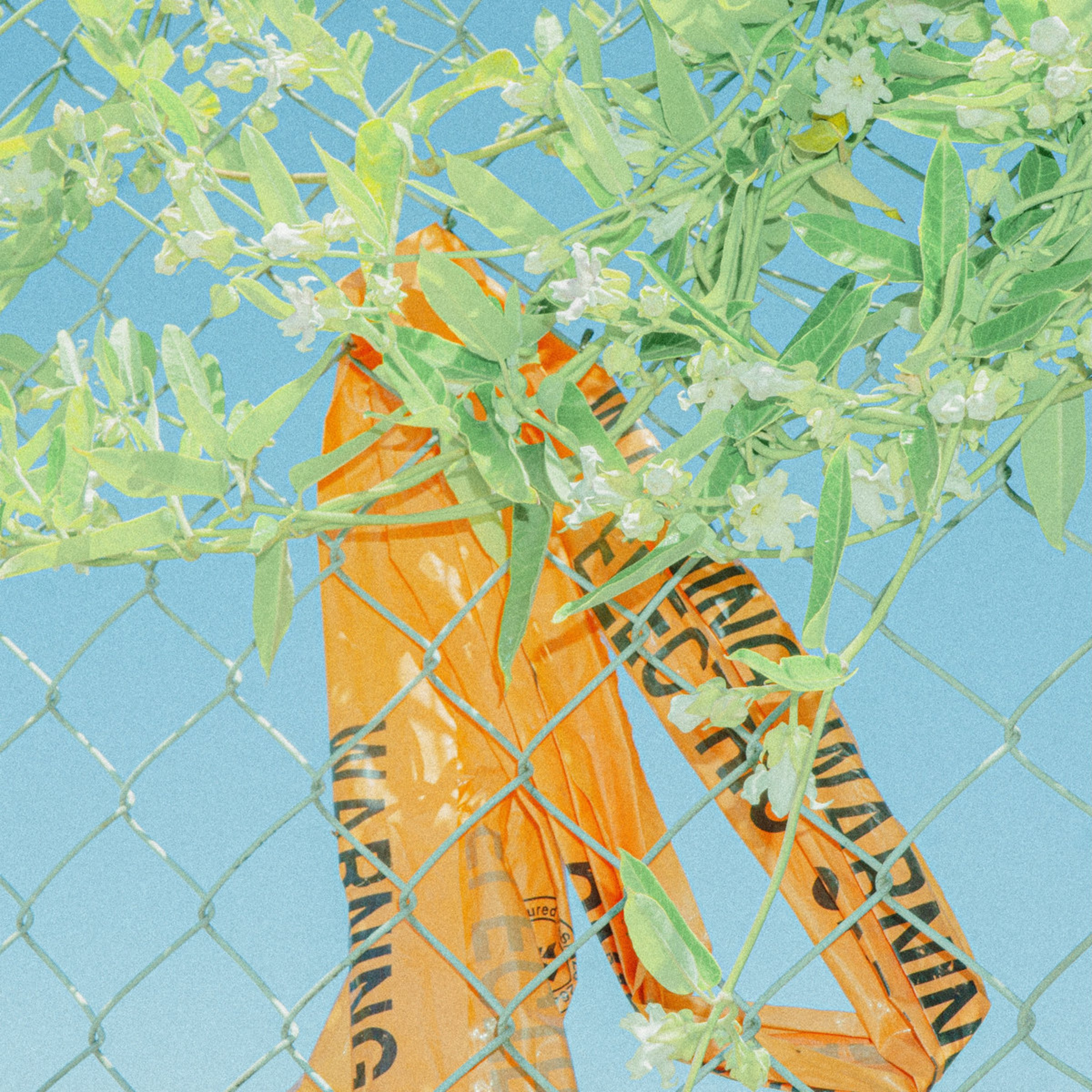ALBUM REVIEW: LOCKSTEP - I Know What I Saw episode artwork