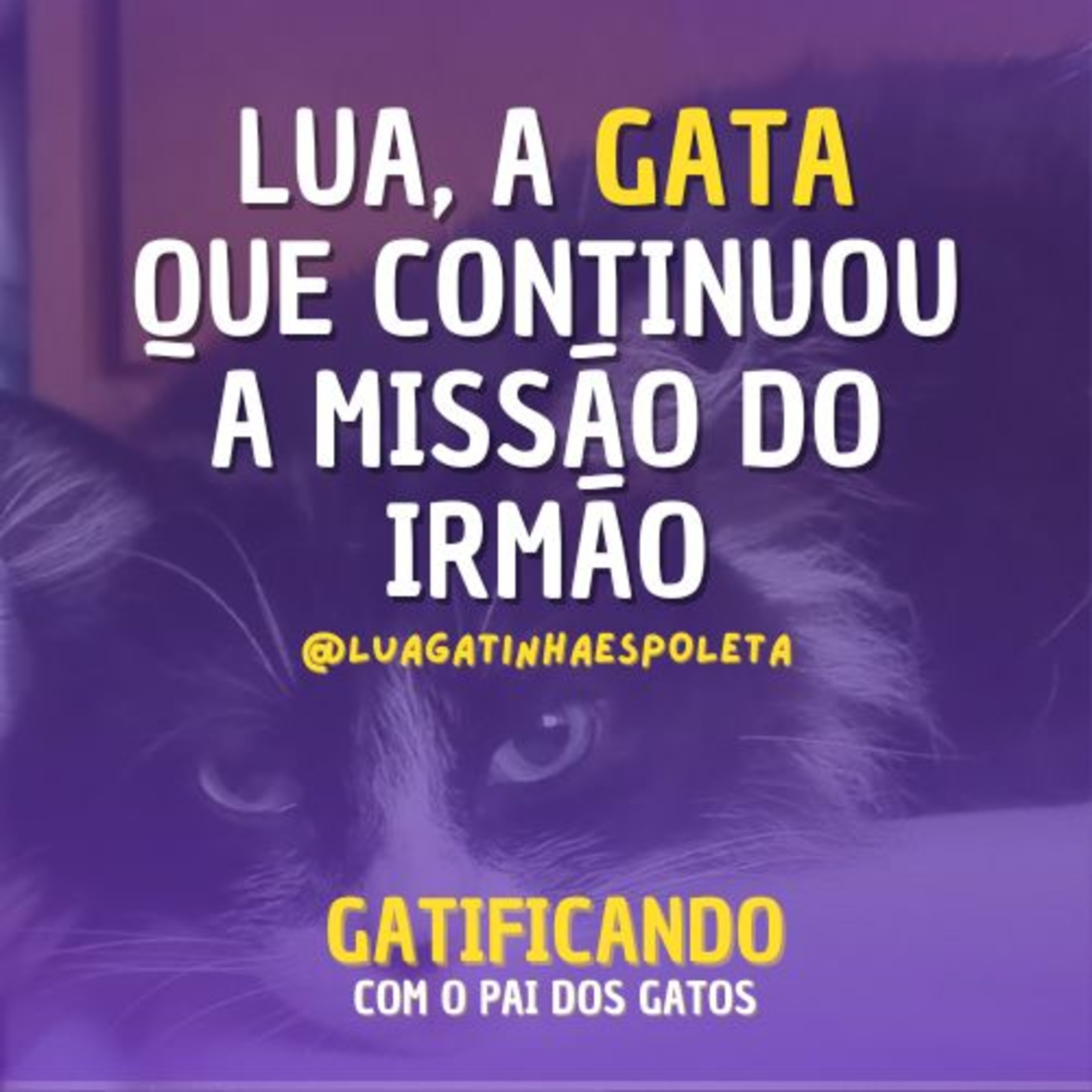 Gatificando