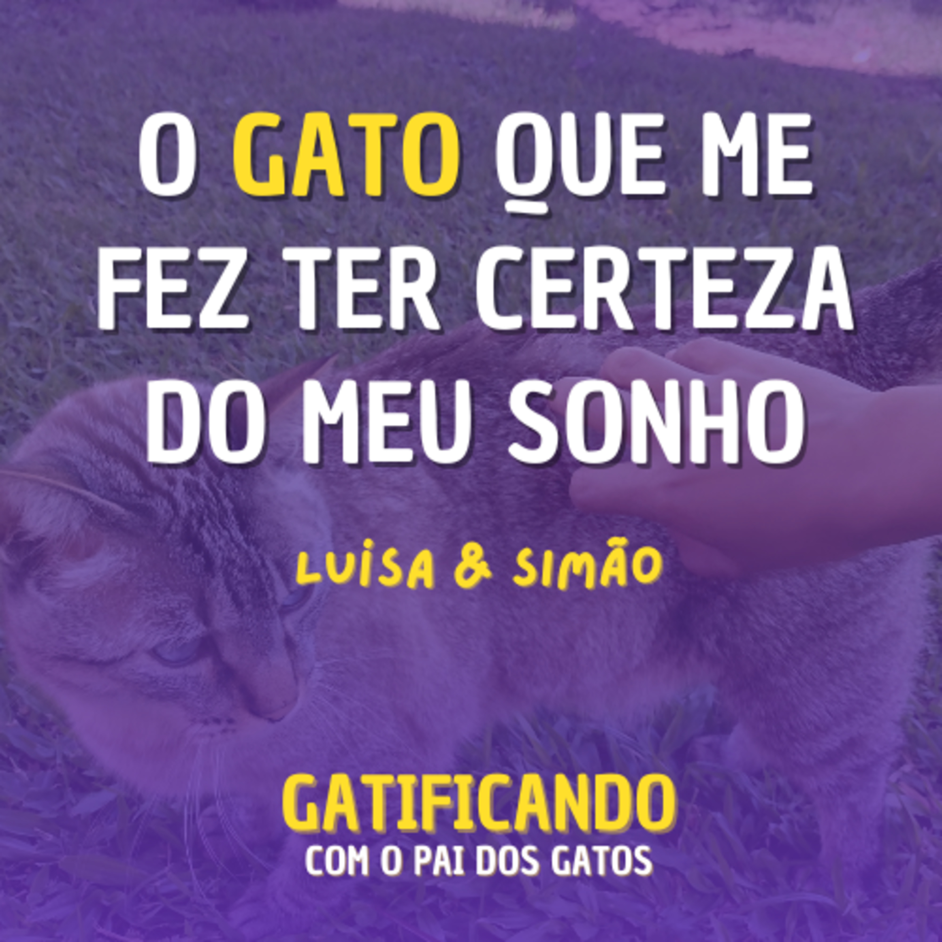 Gatificando