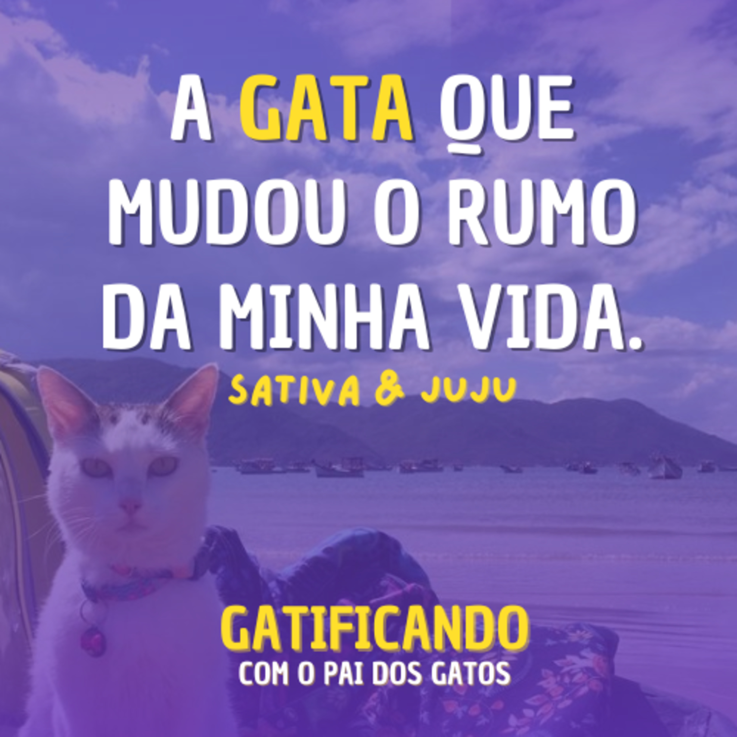 Gatificando