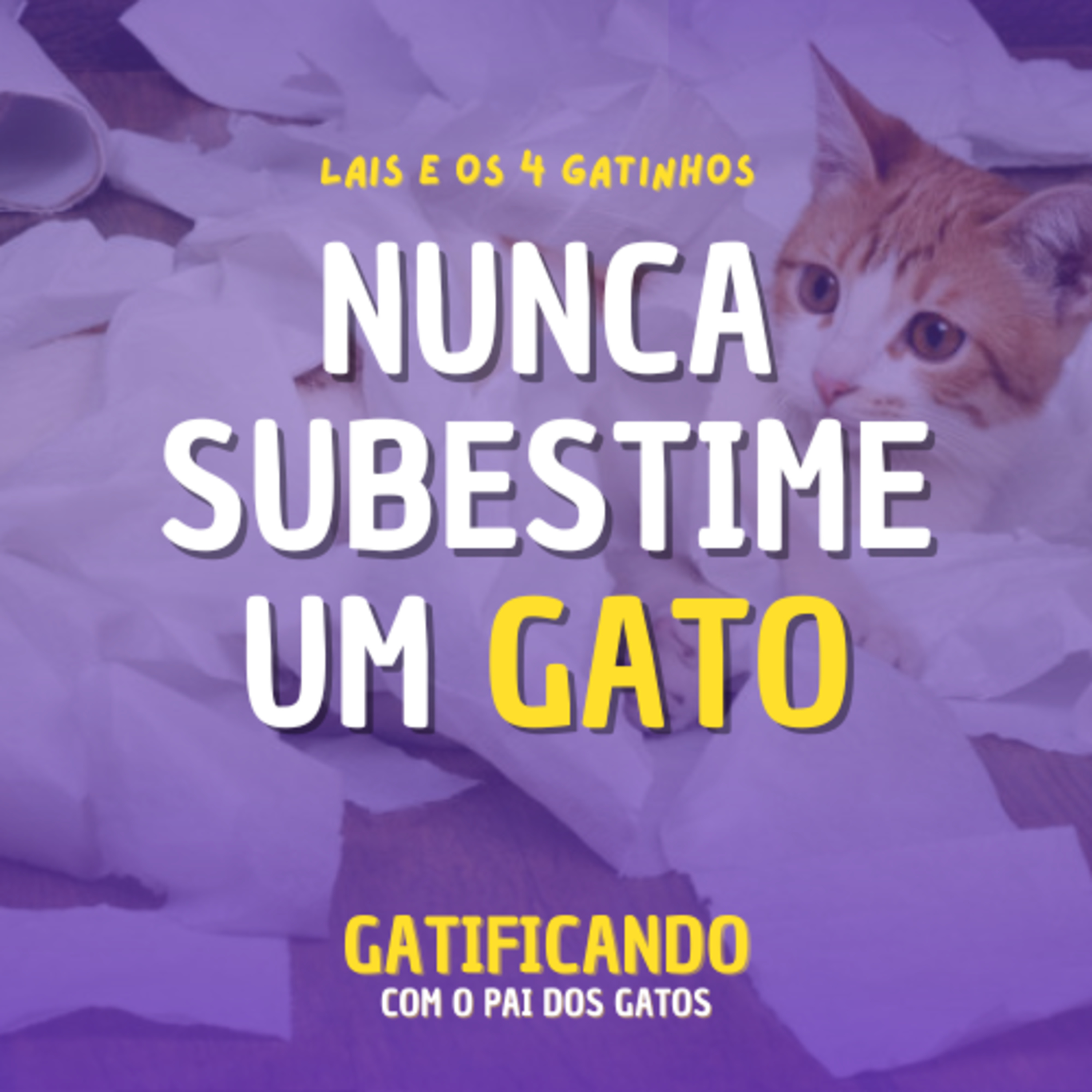 Gatificando