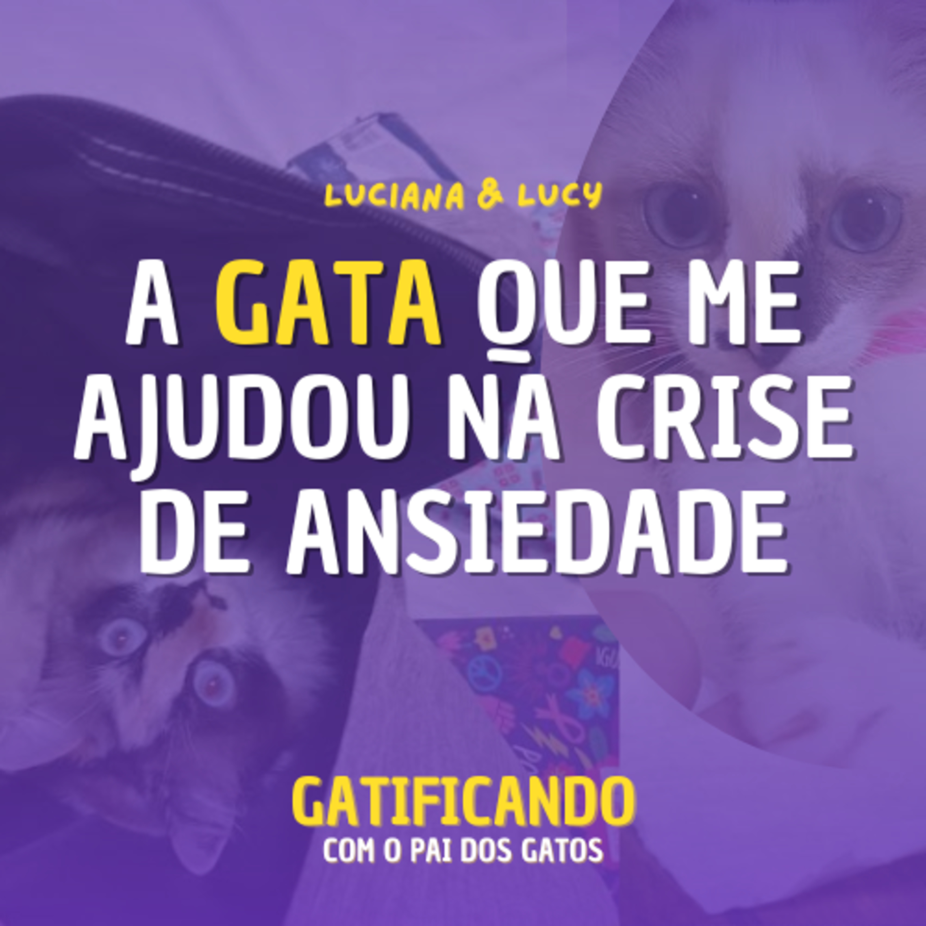 Gatificando