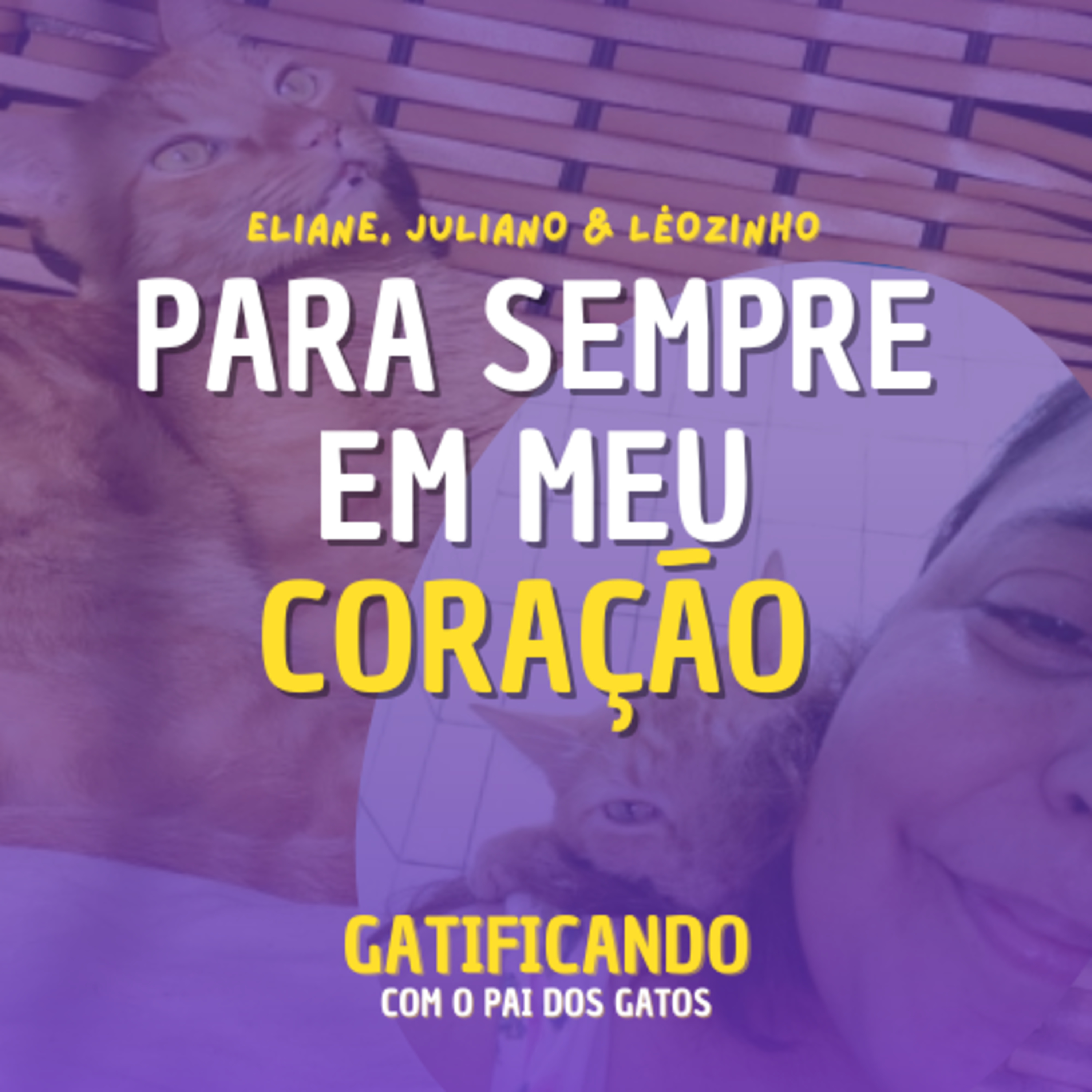 Gatificando