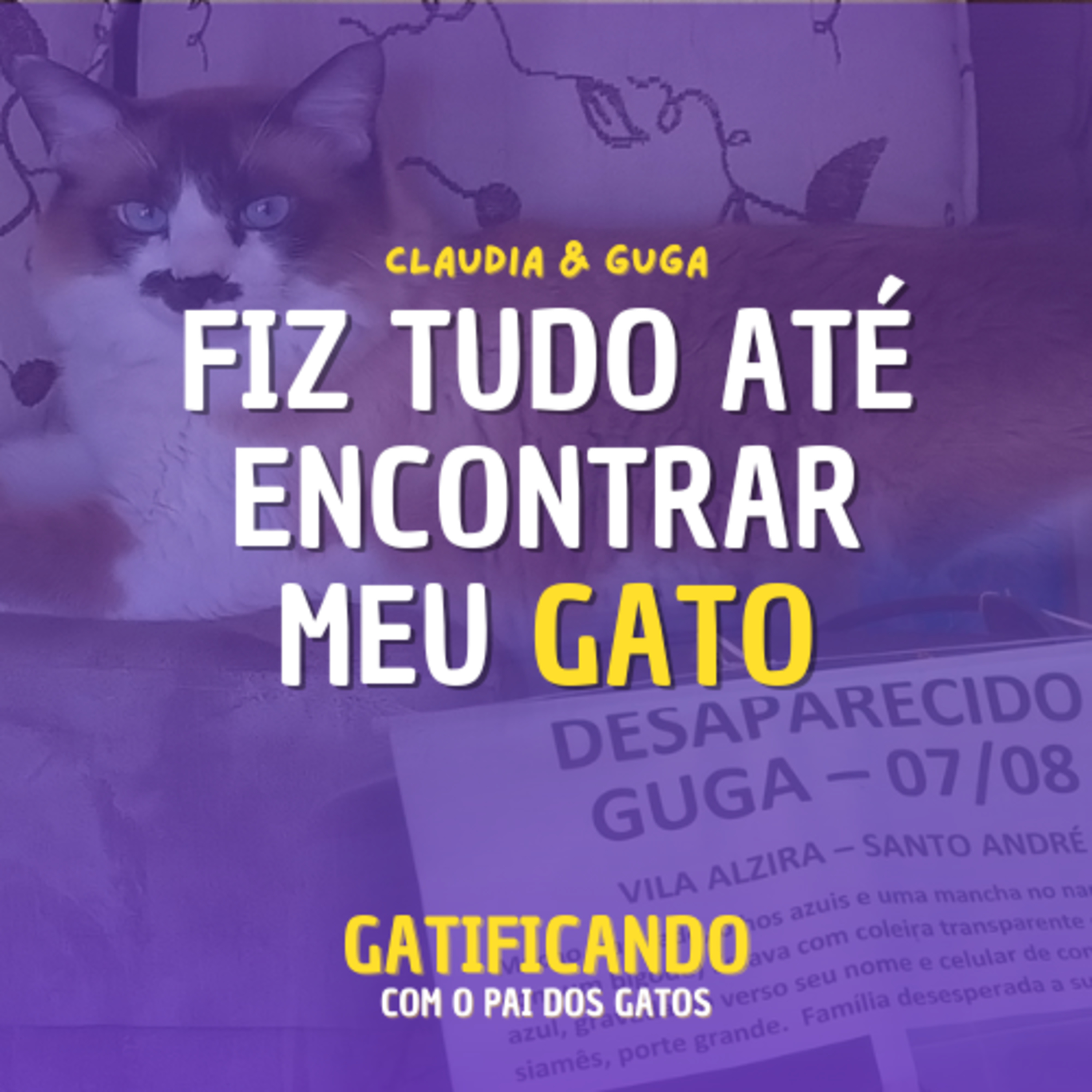 Gatificando