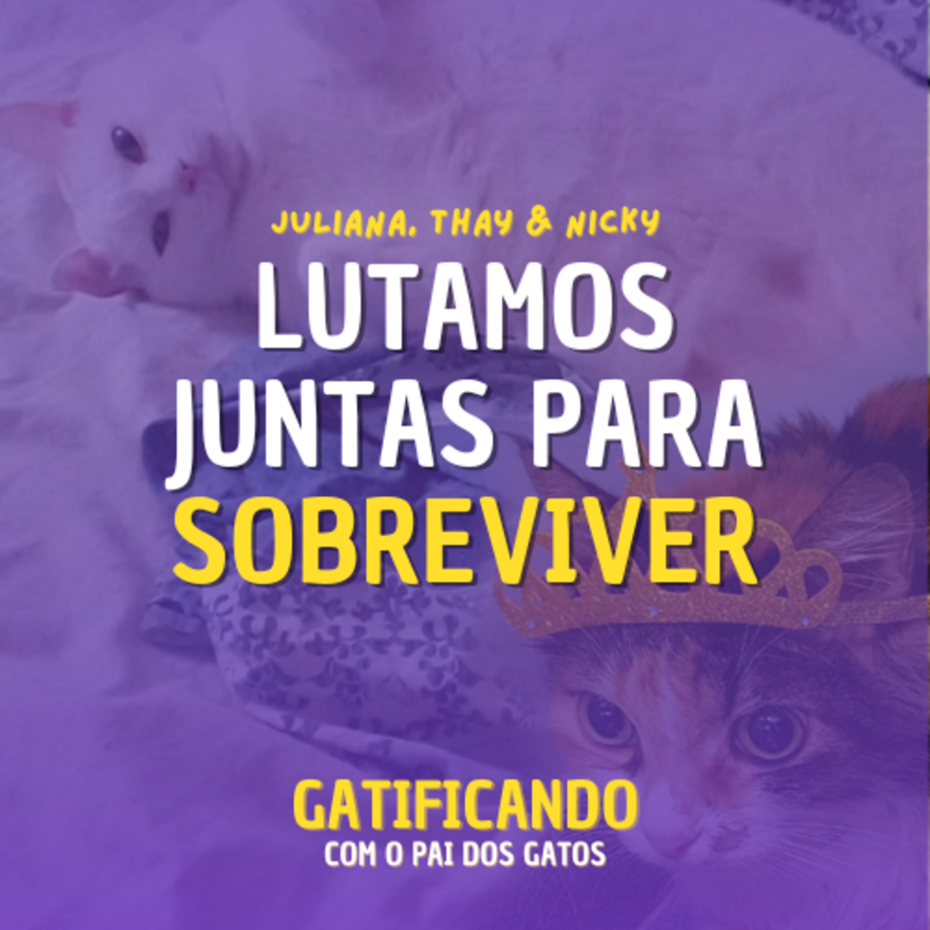 Gatificando