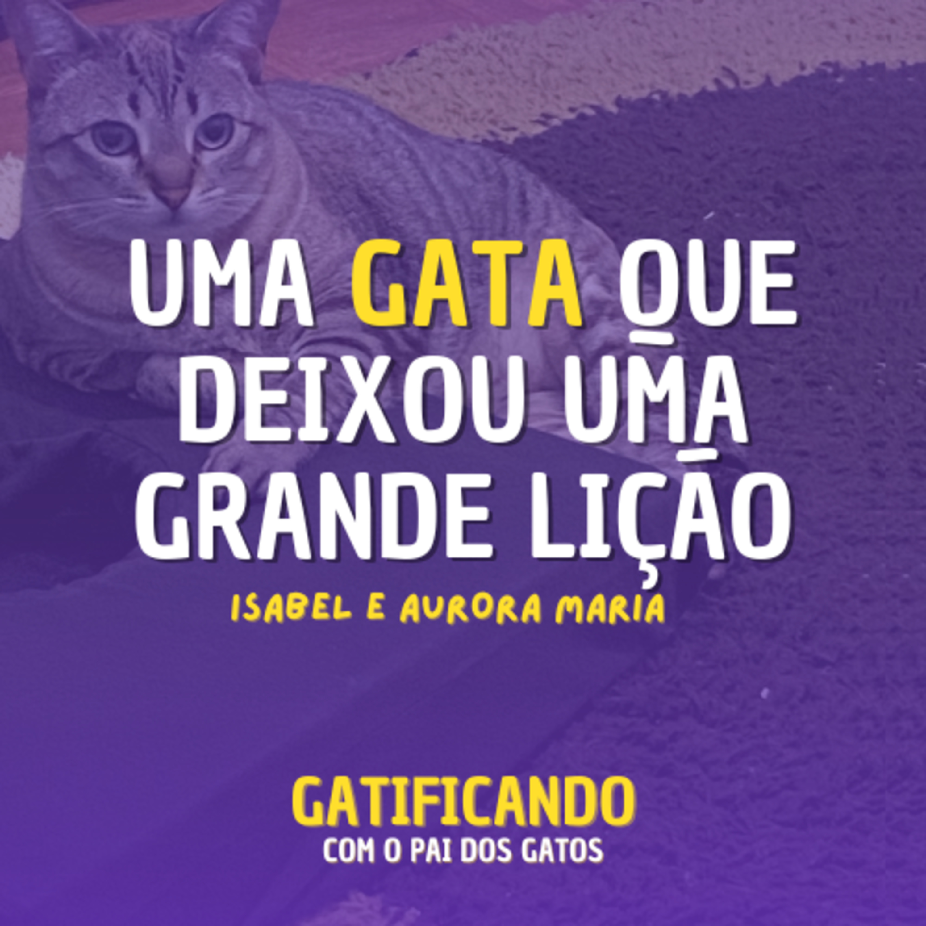 Gatificando