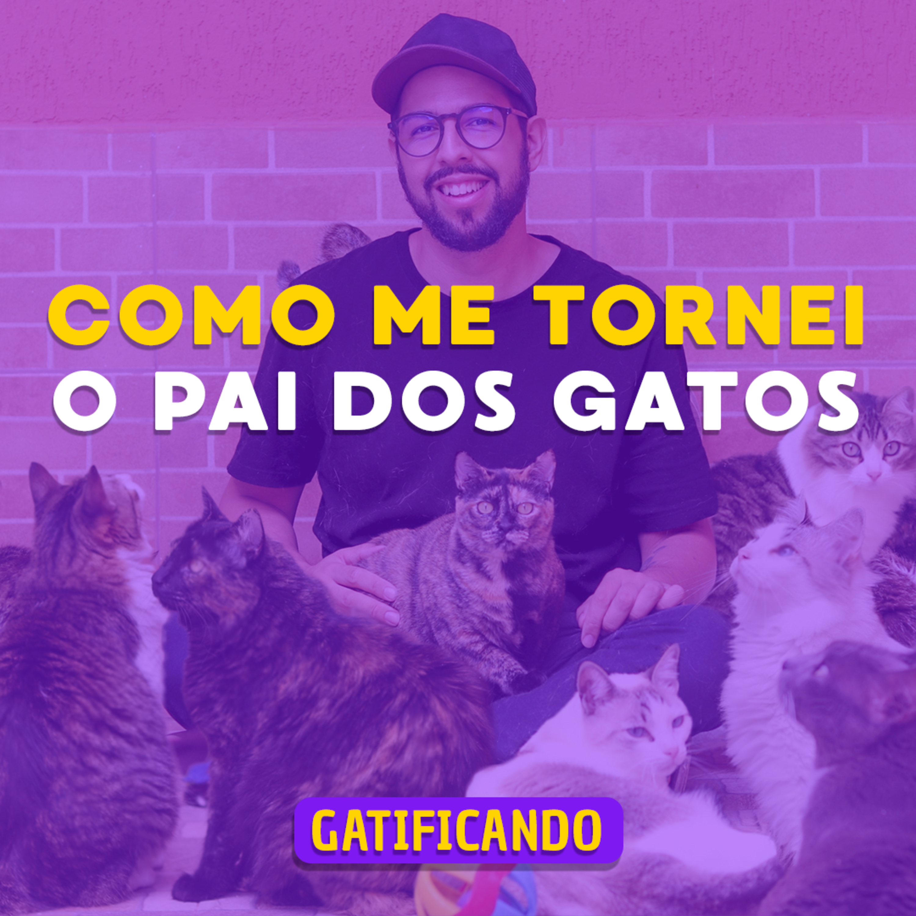 Gatificando