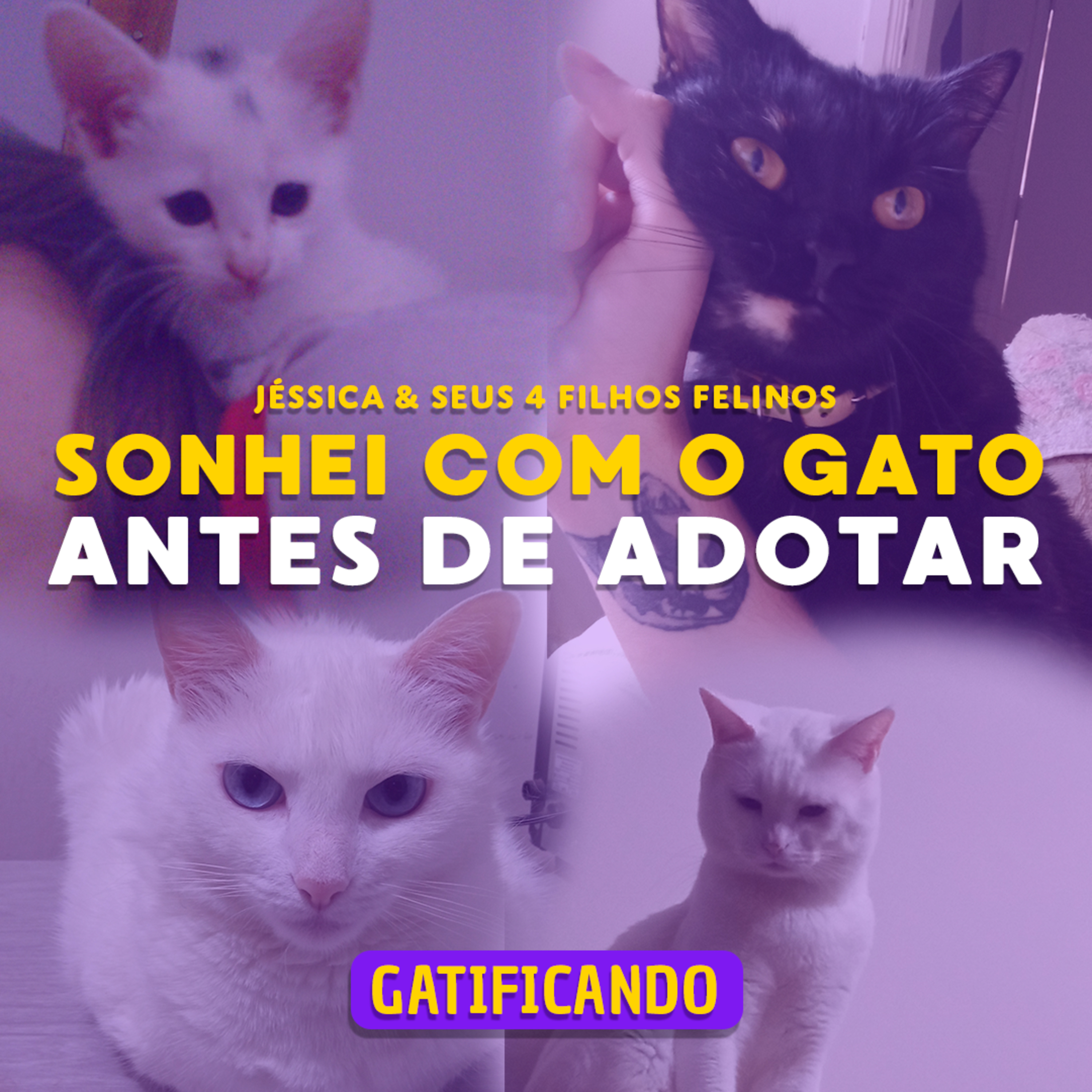 Gatificando