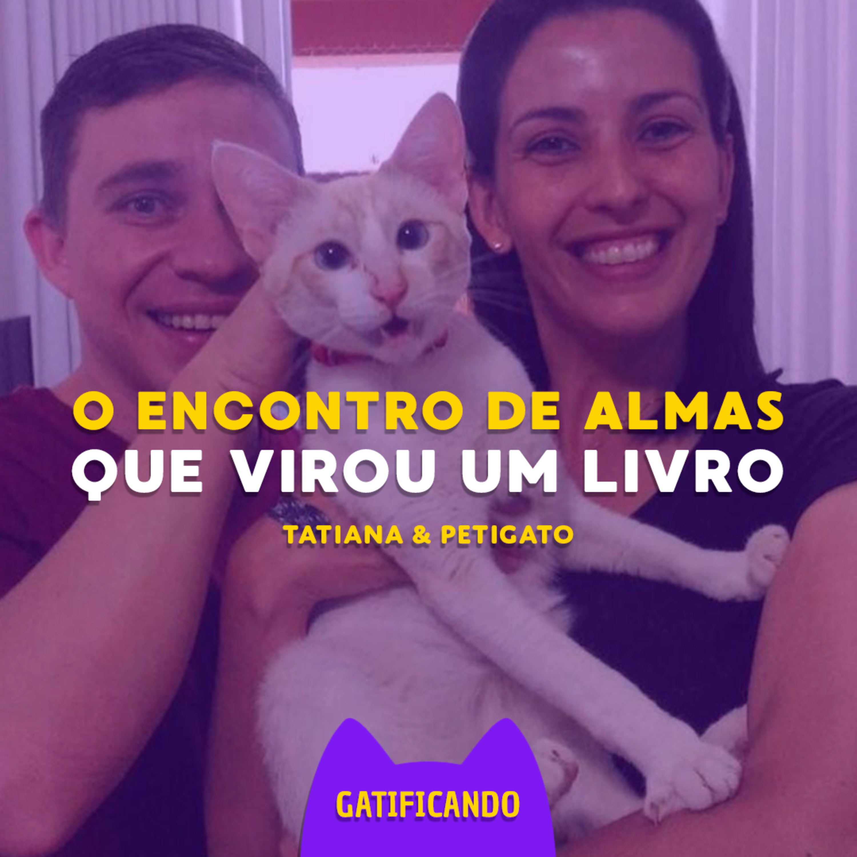 Gatificando