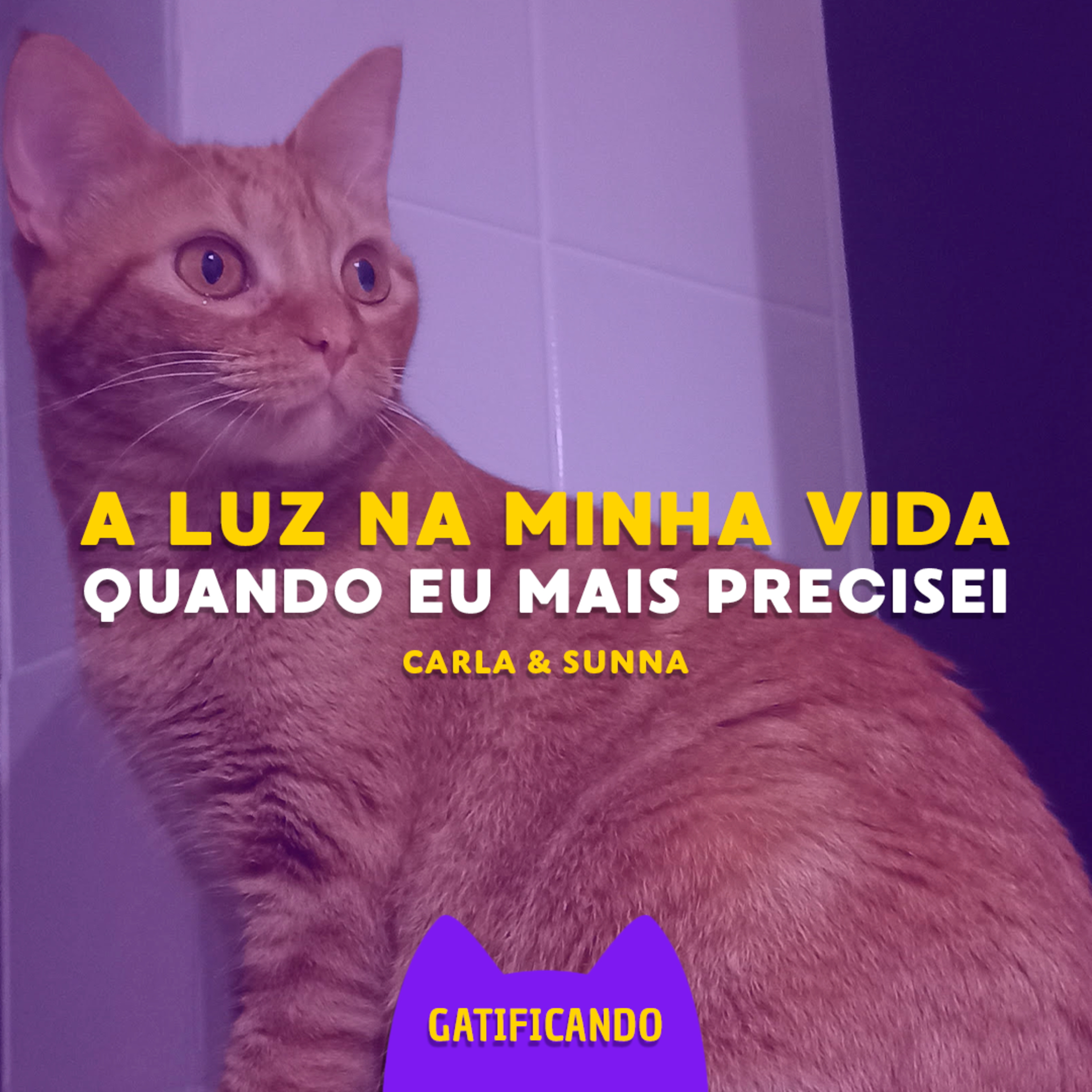 Gatificando