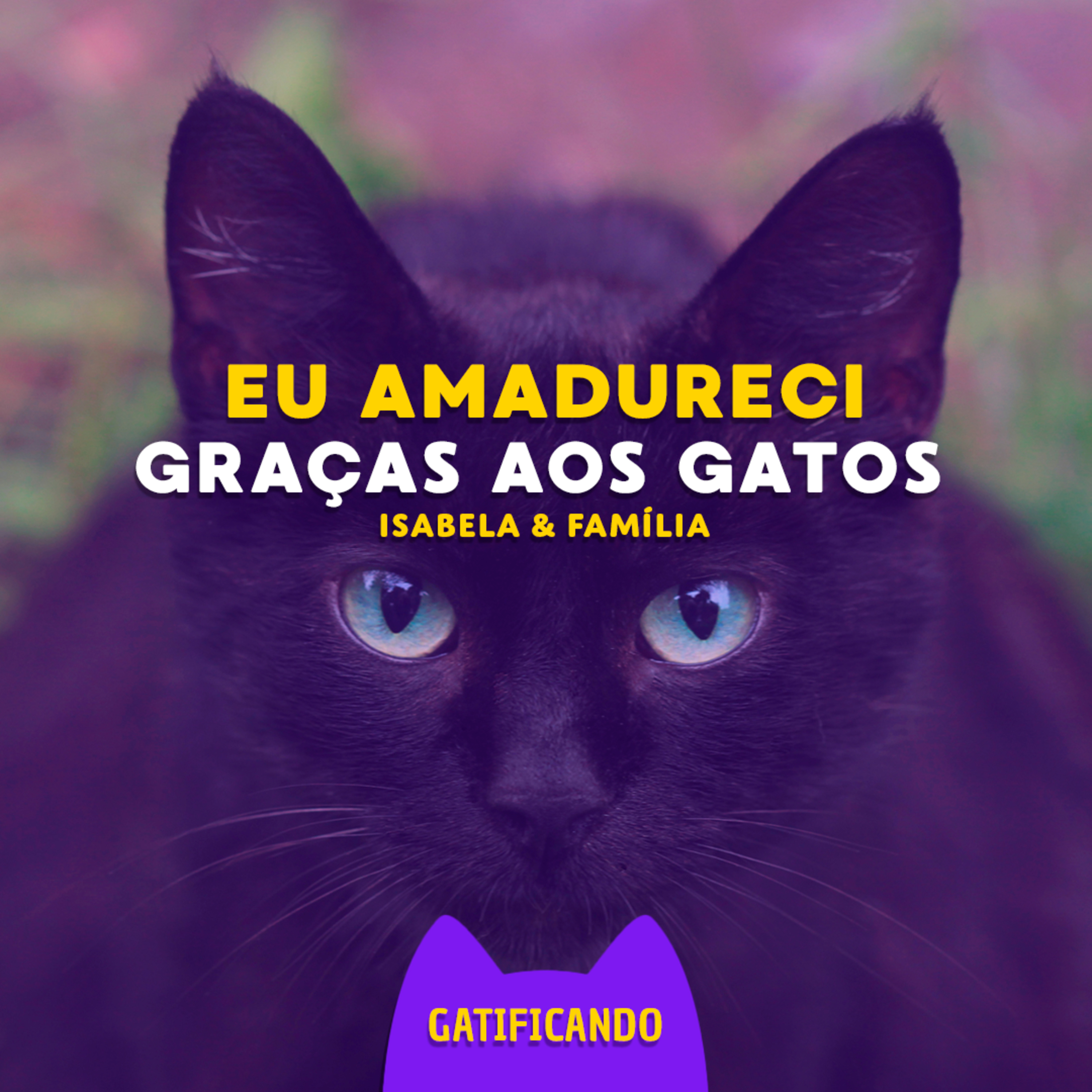 Gatificando