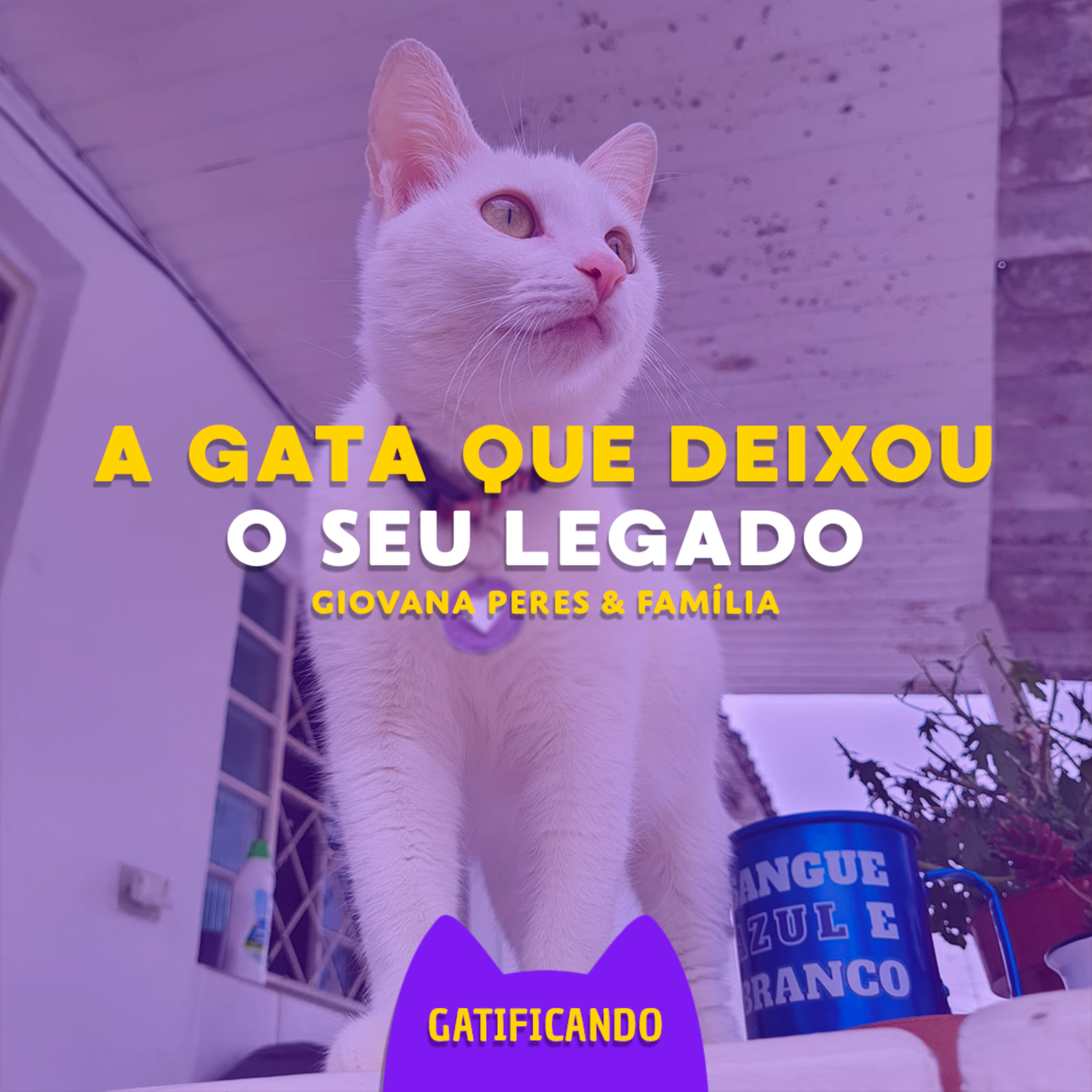 Gatificando