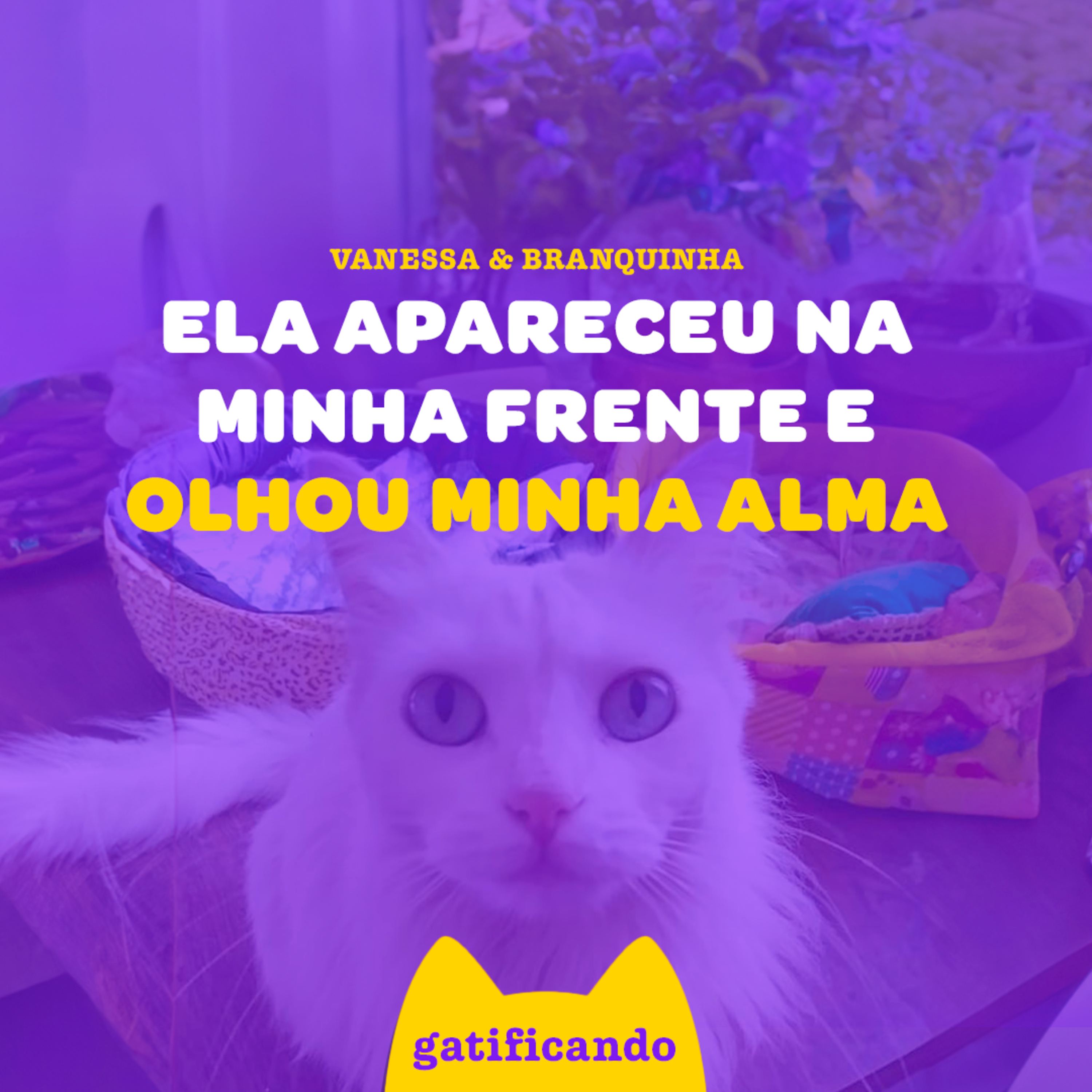 Gatificando