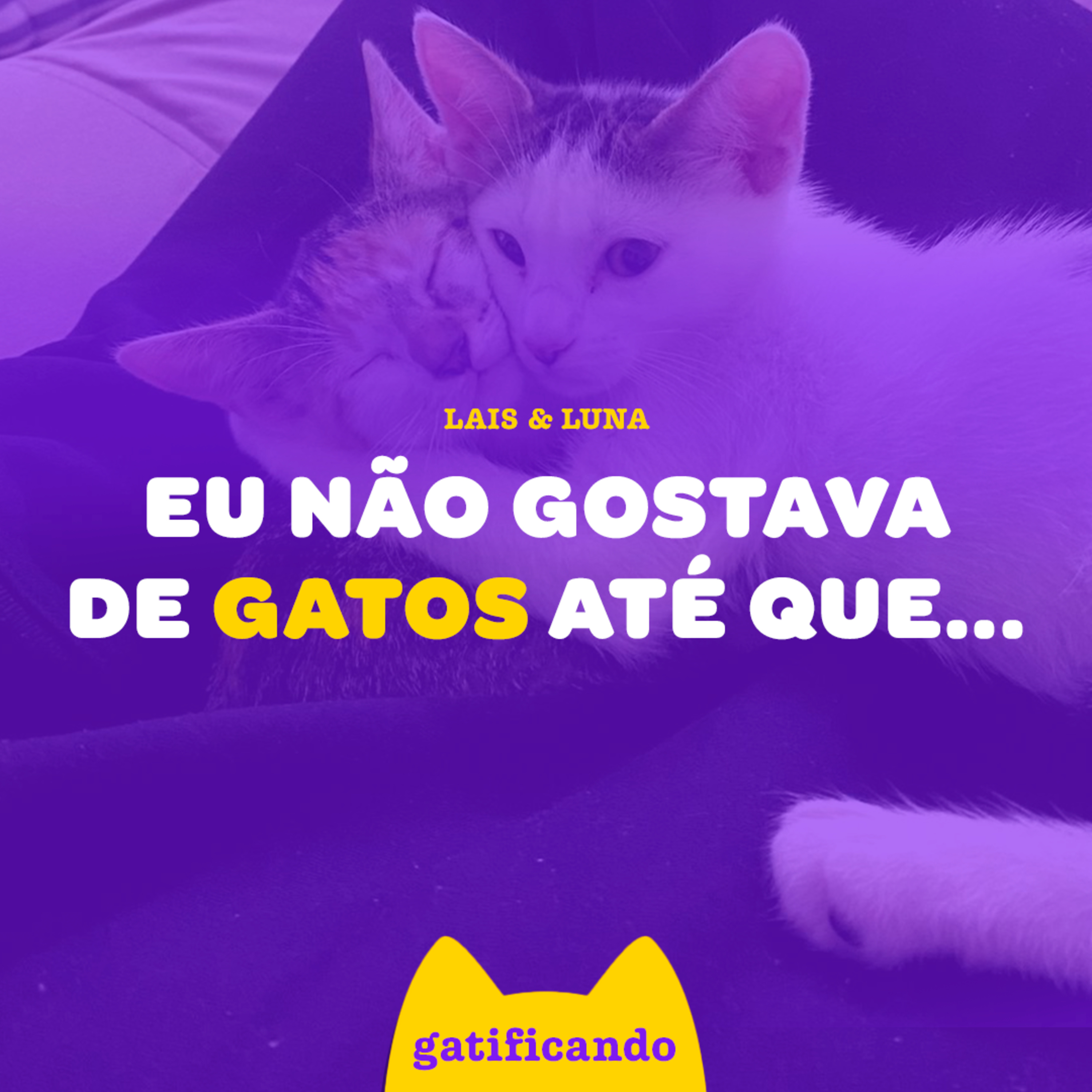 Gatificando