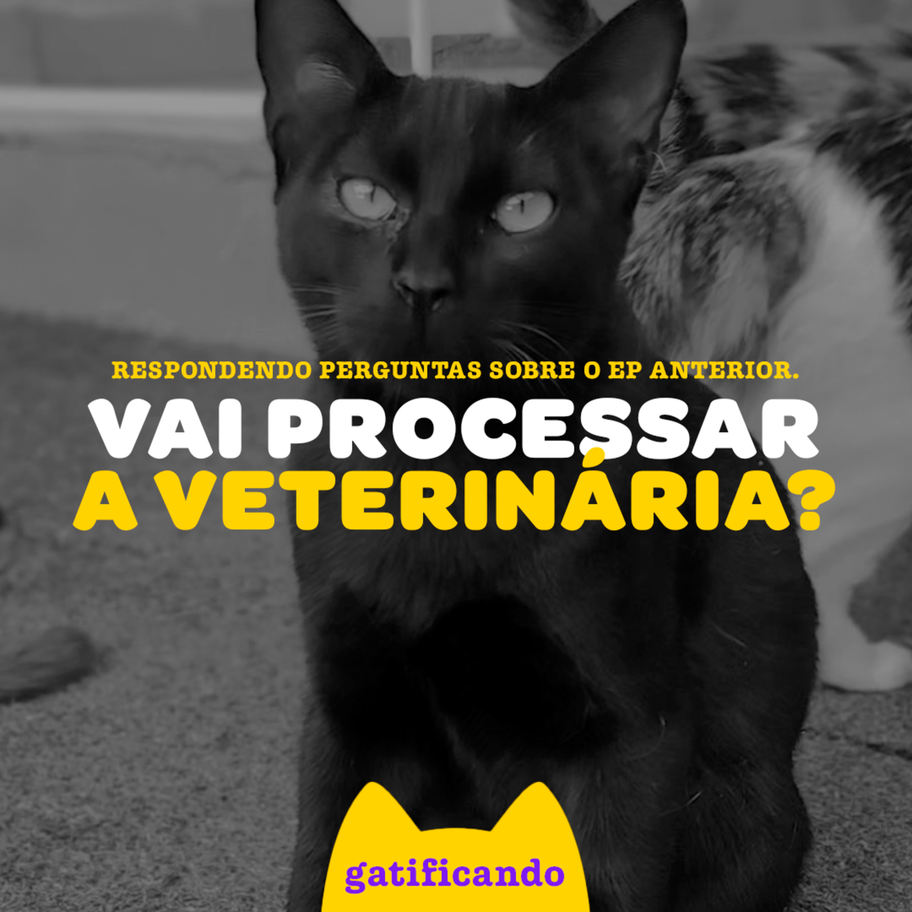 Gatificando
